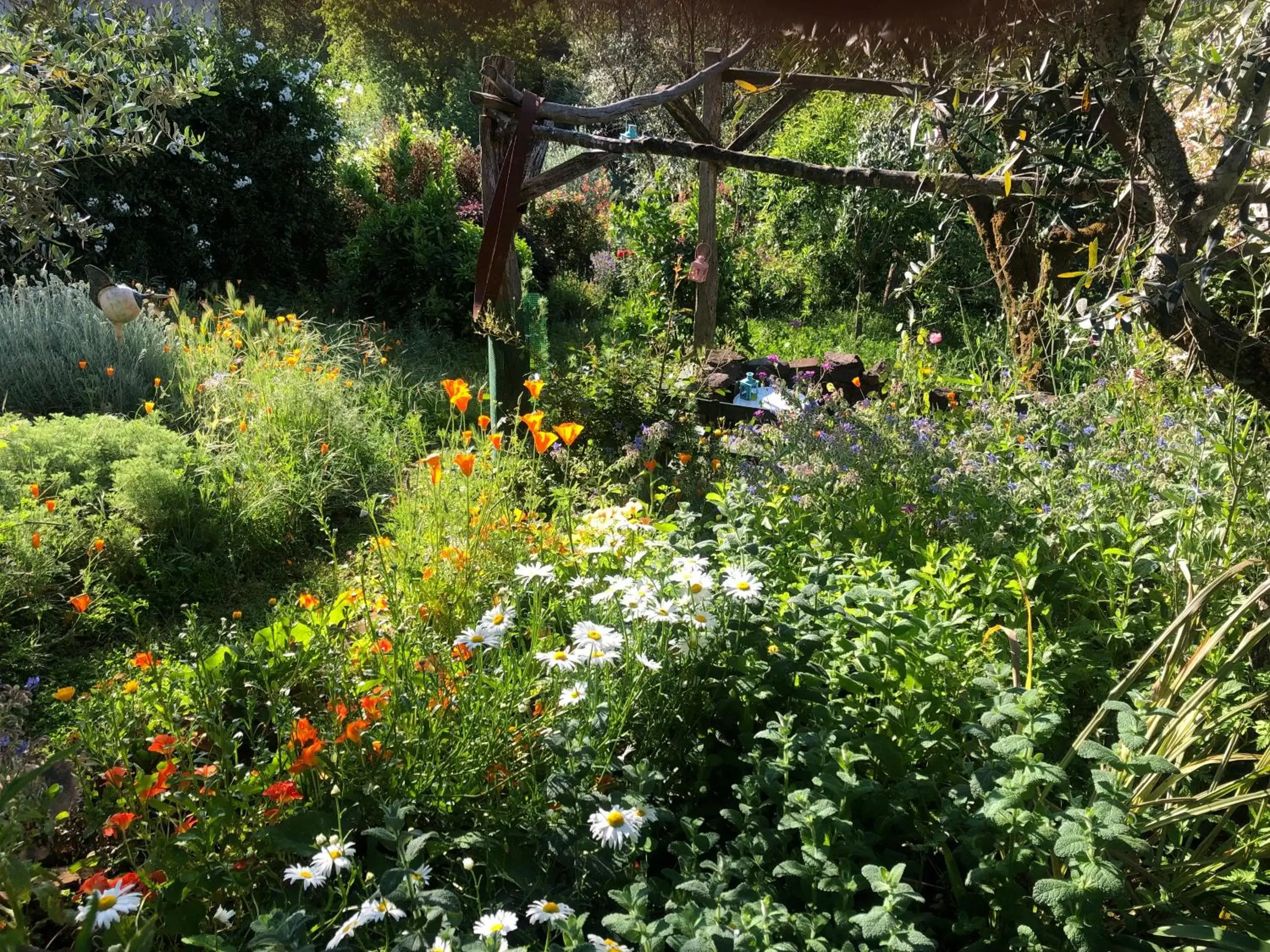 Garden in House Of The Three Marias