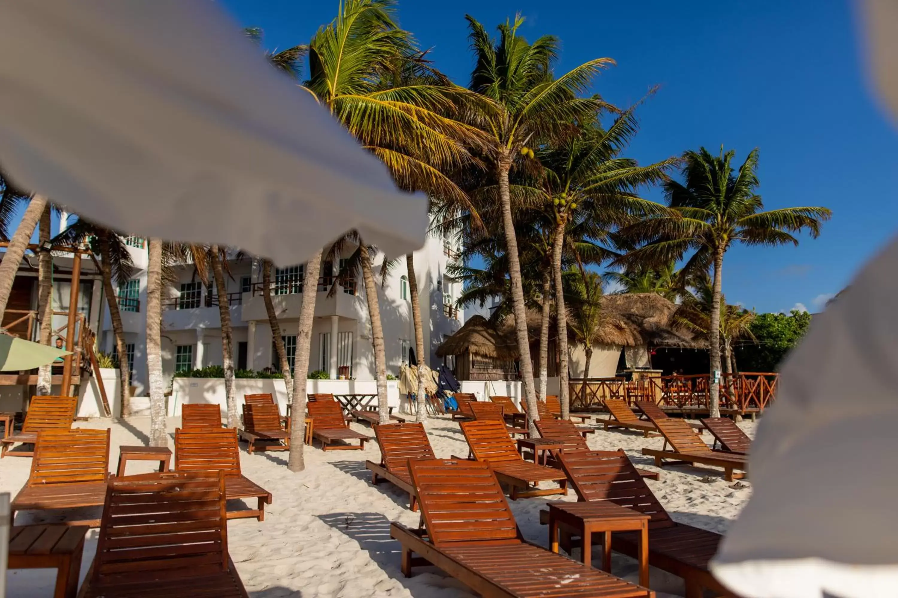 Beach in HOTEL & BEACH CLUB OJO DE AGUA