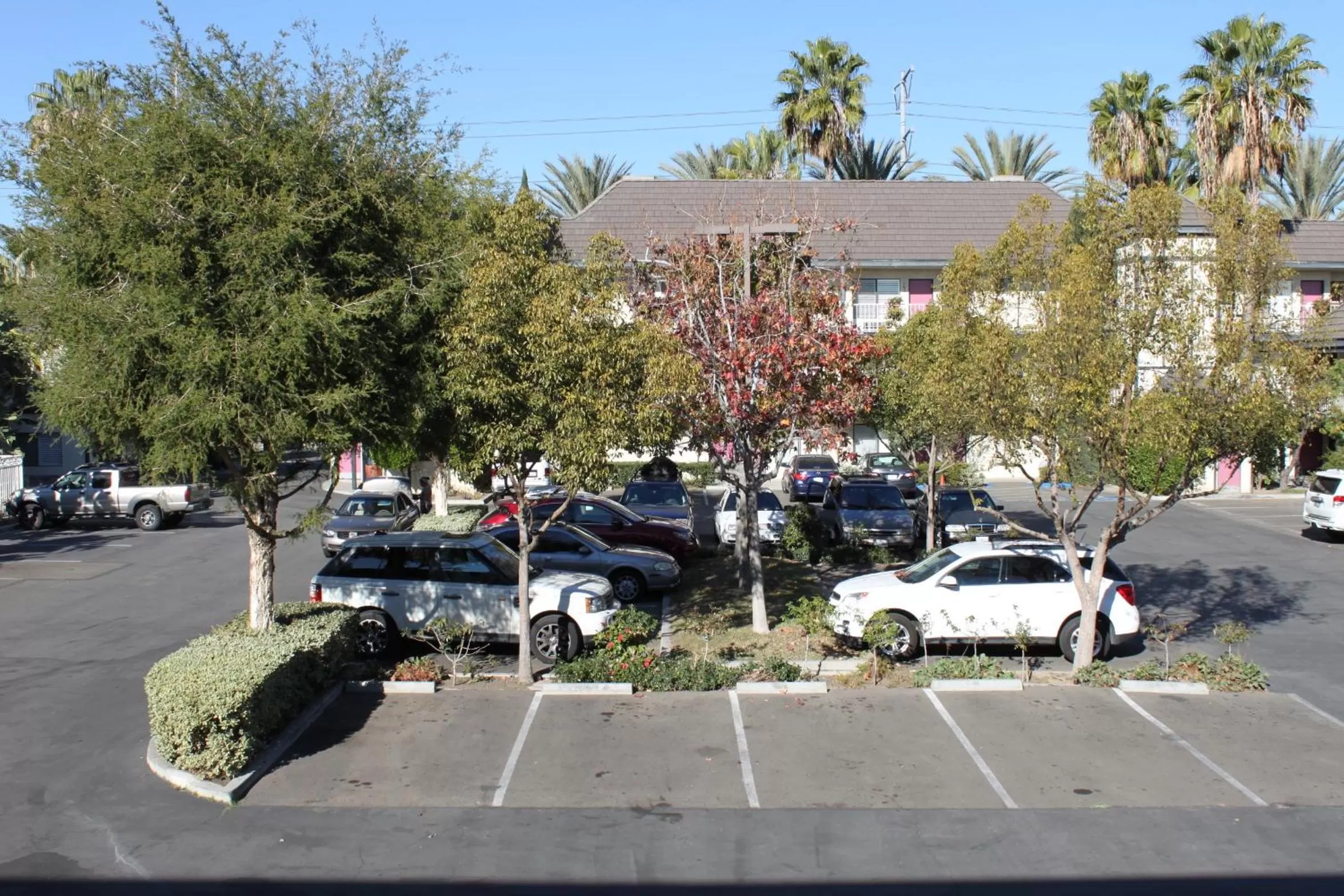 Day in Alamo Inn and Suites - Convention Center