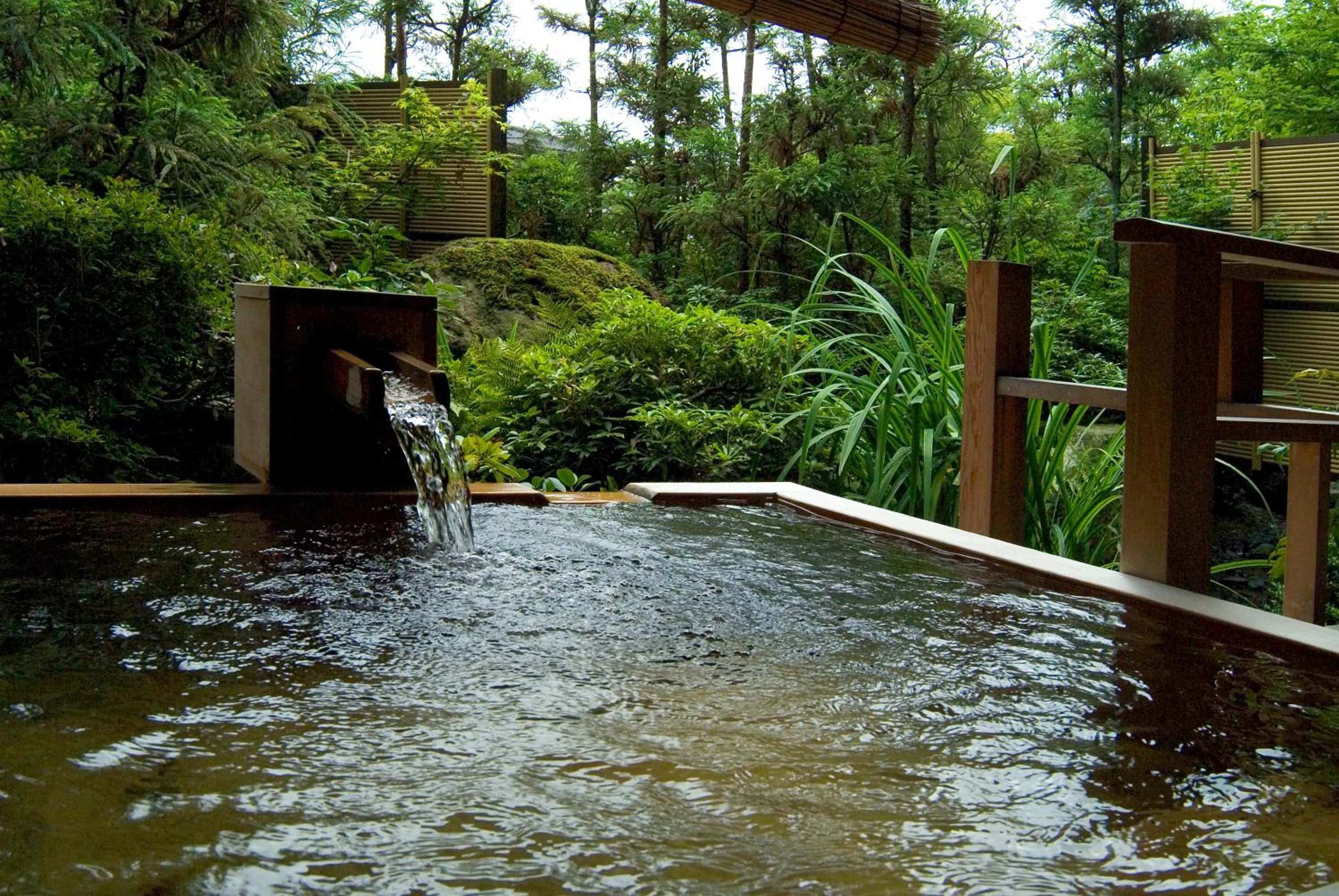 Photo of the whole room in Grandia Housen