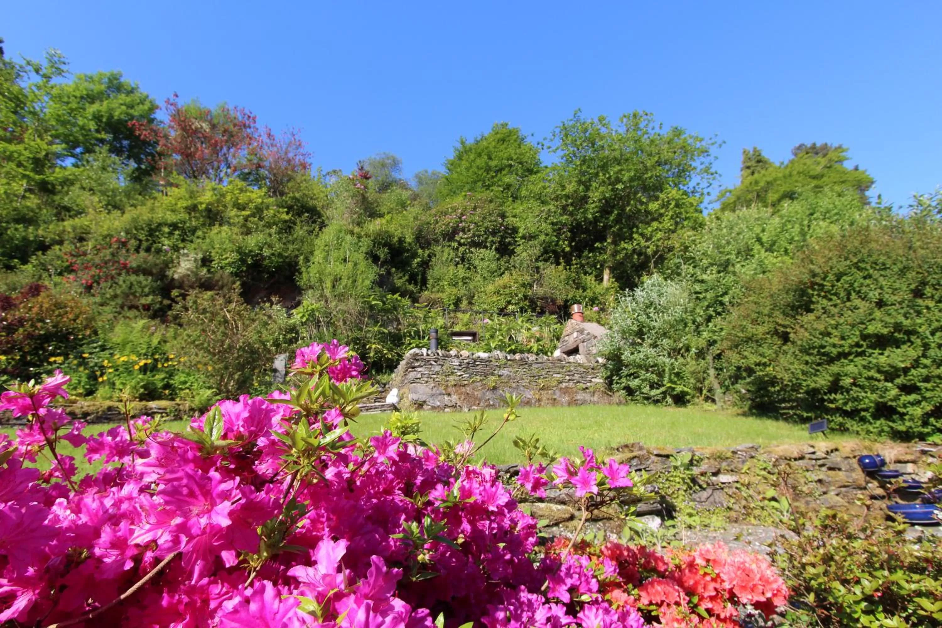 Patio in Clyde View B&B