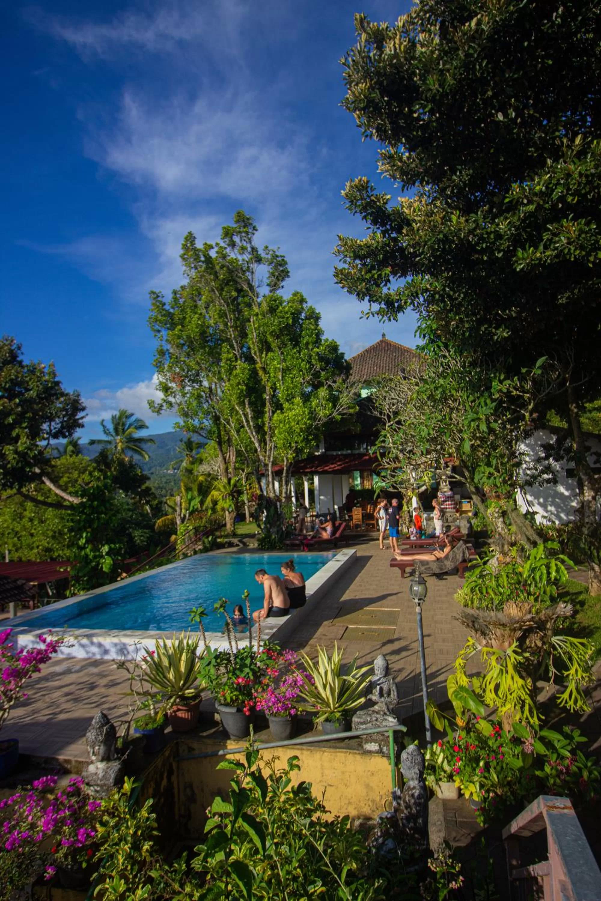 Garden in VILLA IPSA