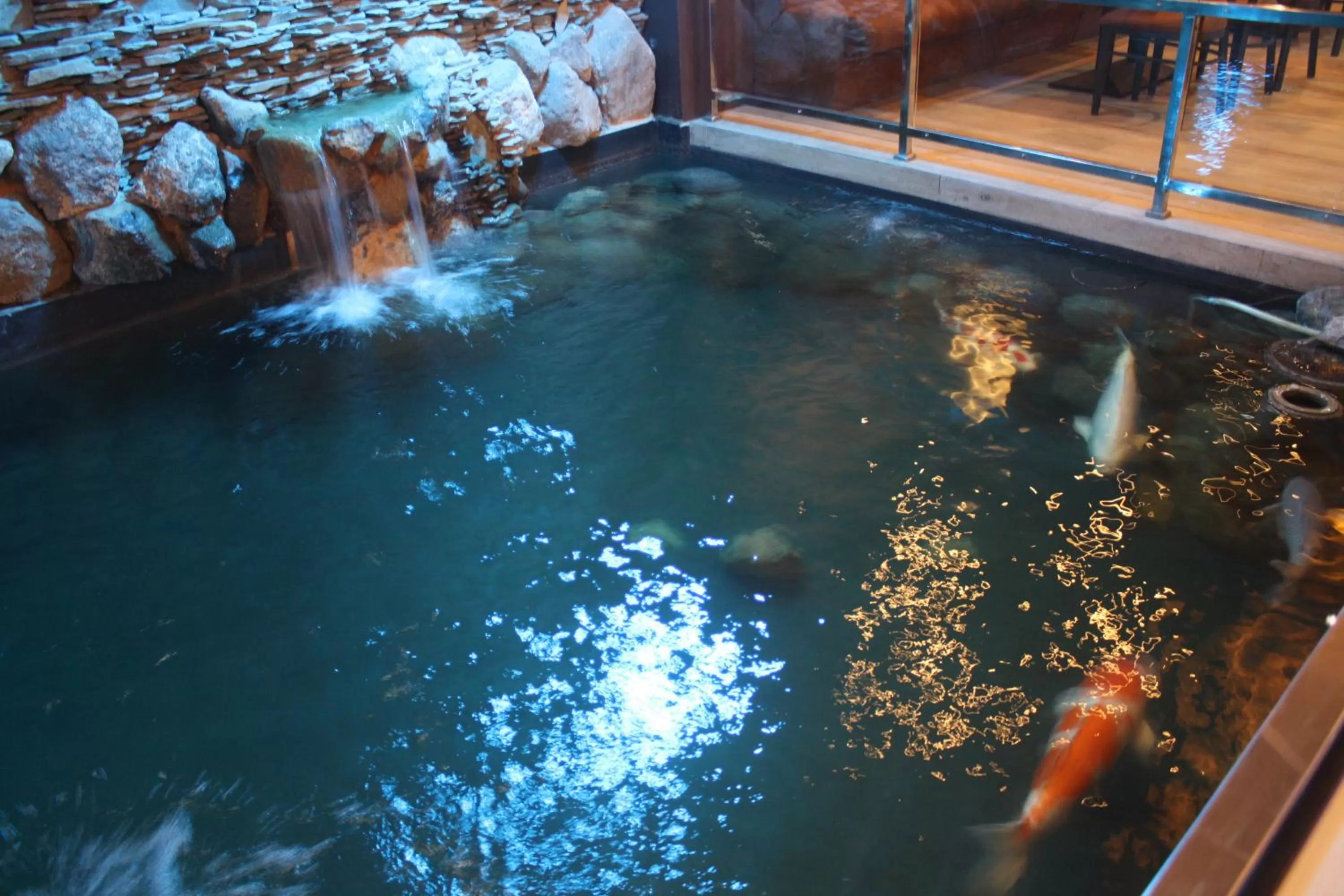 Restaurant/places to eat in Kew Hotel Tagbilaran