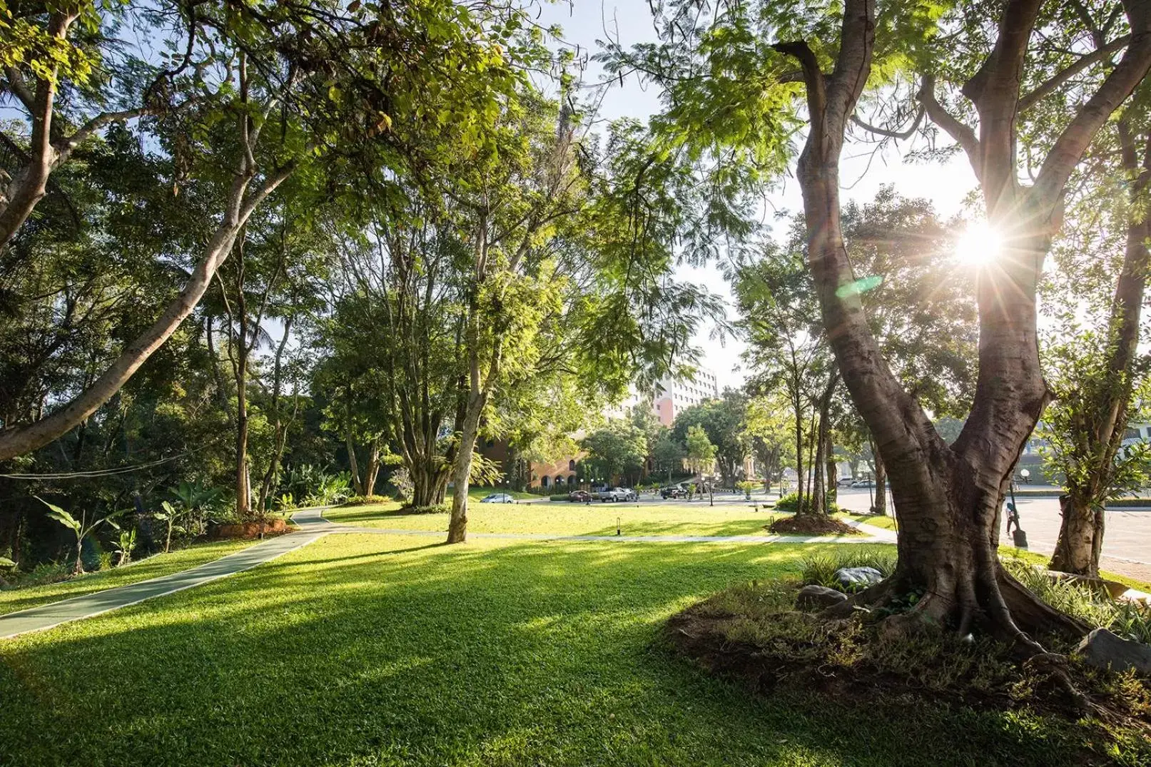 Garden in The Heritage Chiang Rai Hotel and Convention - SHA Extra Plus