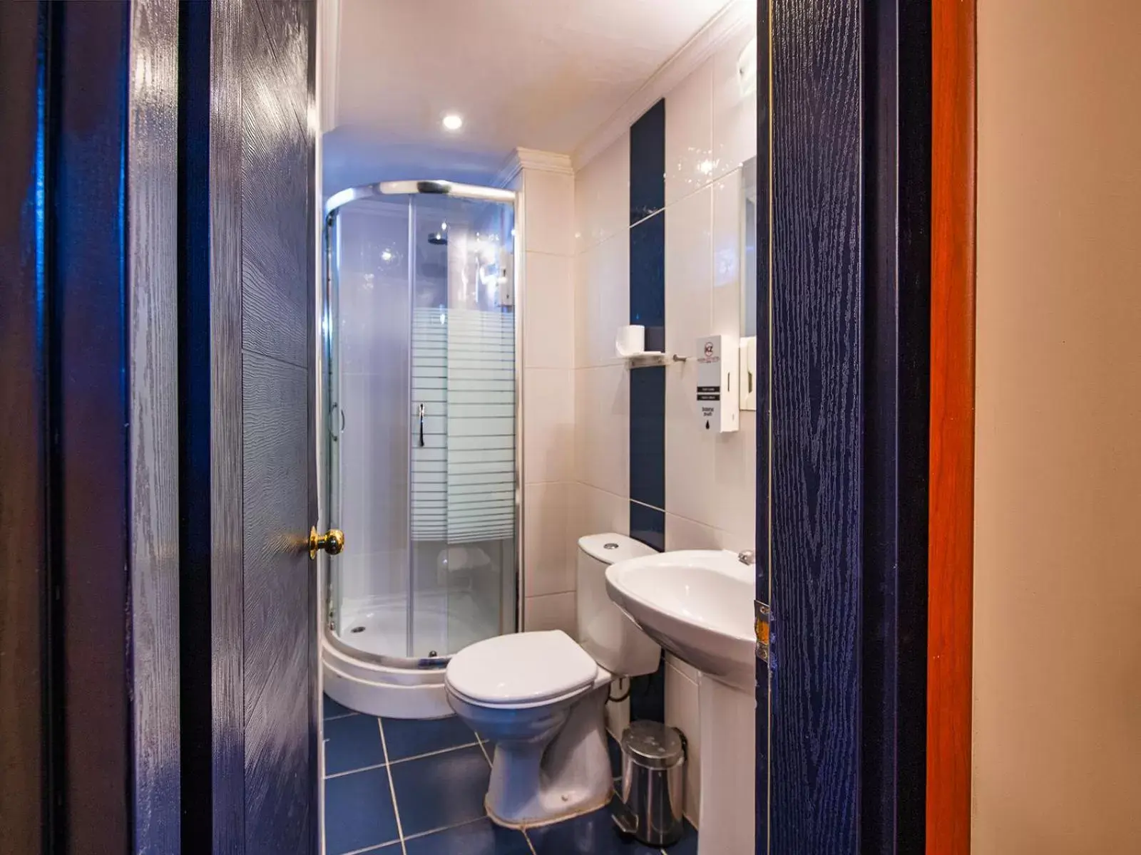 Shower, Bathroom in Kozan City Hotel