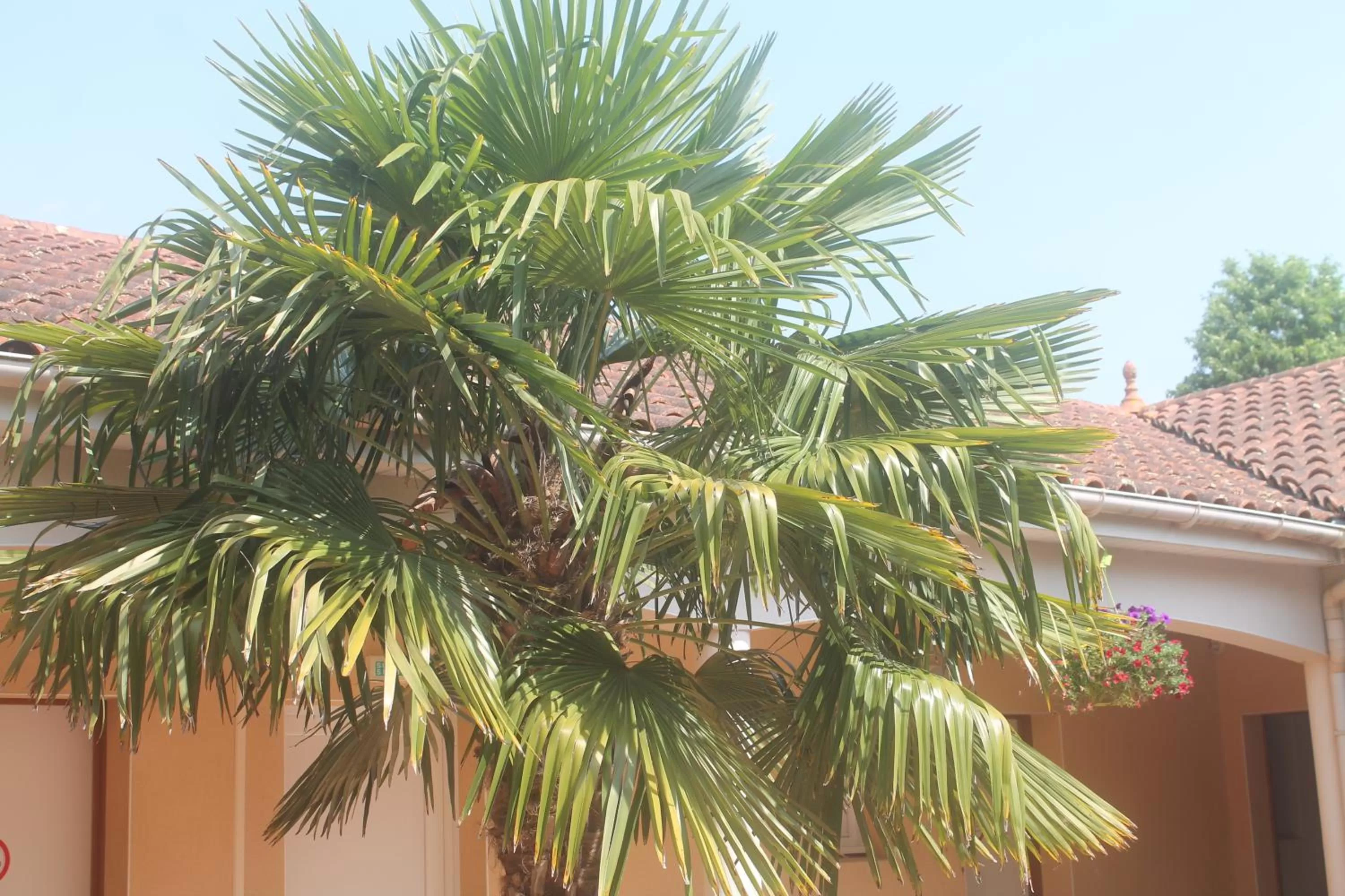 Natural landscape in La Closerie, Nantes Nord