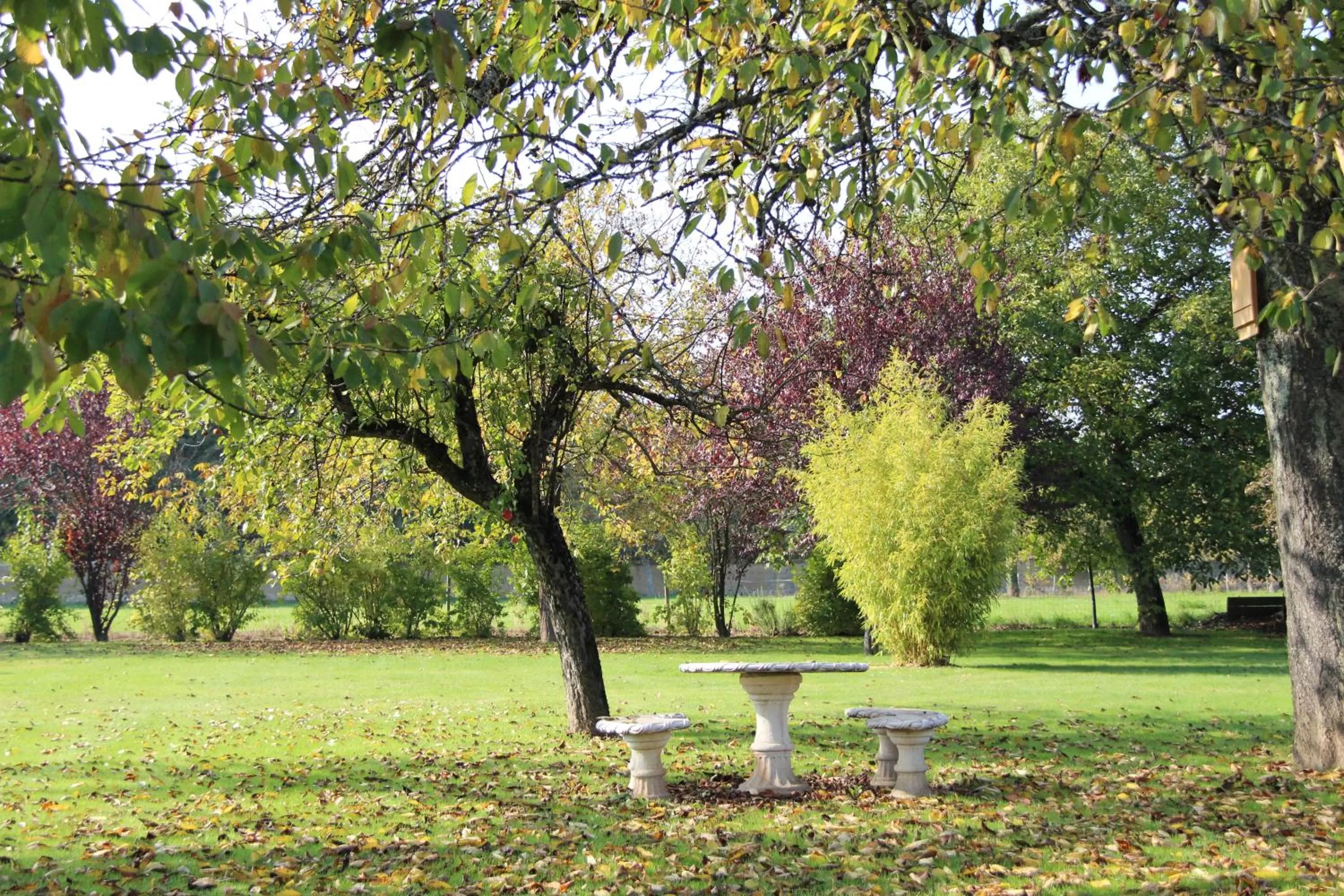 Garden in Sous Le Figuier
