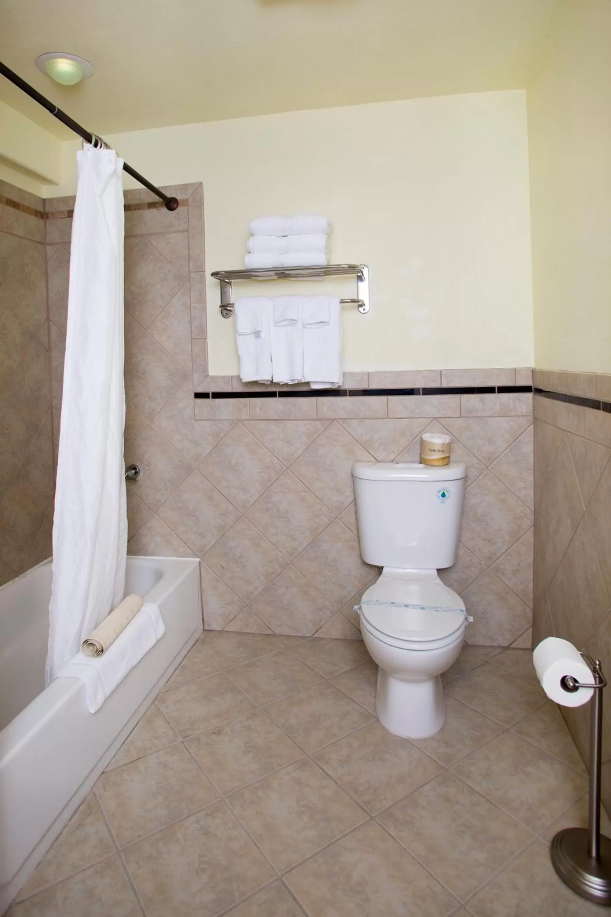 Shower, Bathroom in Royal Victorian Motel