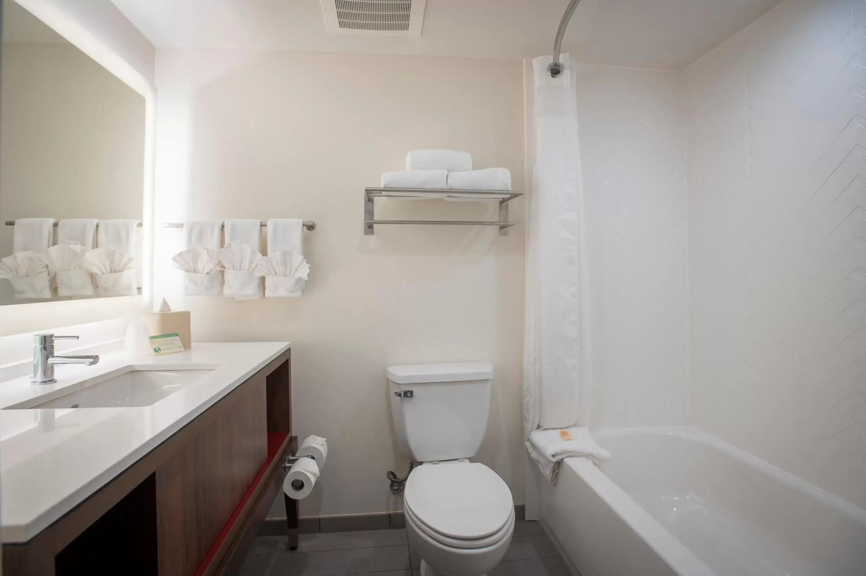Bathroom in Holiday Inn Pensacola - University Area, an IHG Hotel