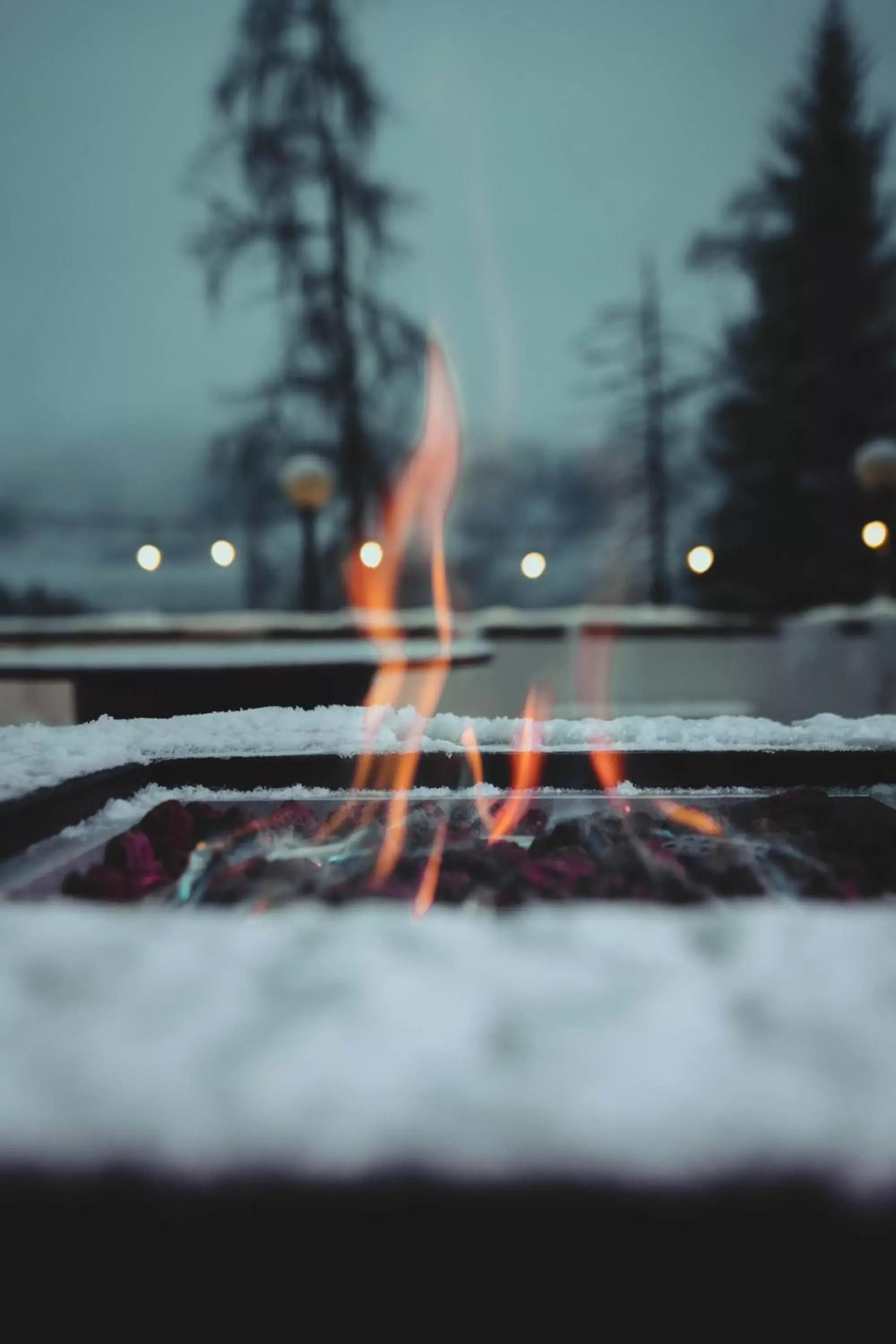 Balcony/Terrace, Winter in Hotel Renzi