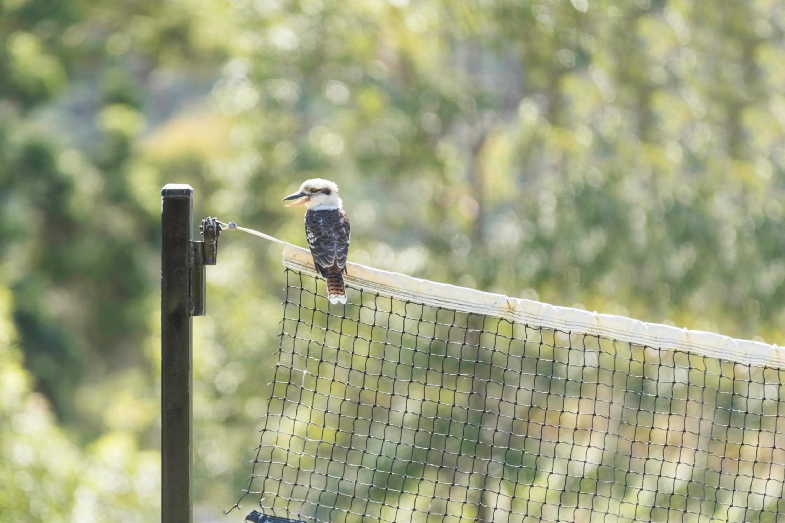 Clarendon Forest Retreat
