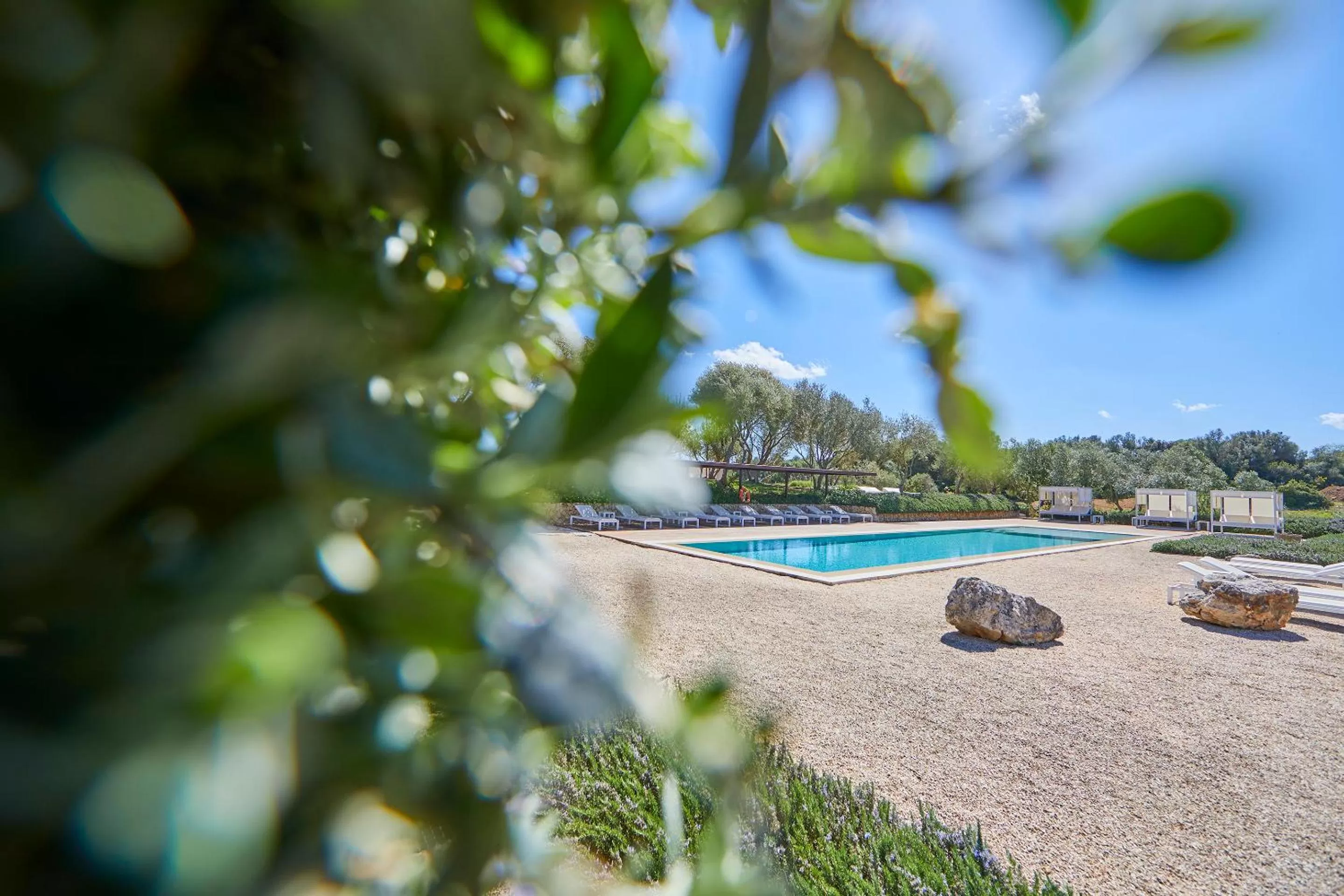 Natural landscape in Son Penya Adults Only Petit Hotel & Spa