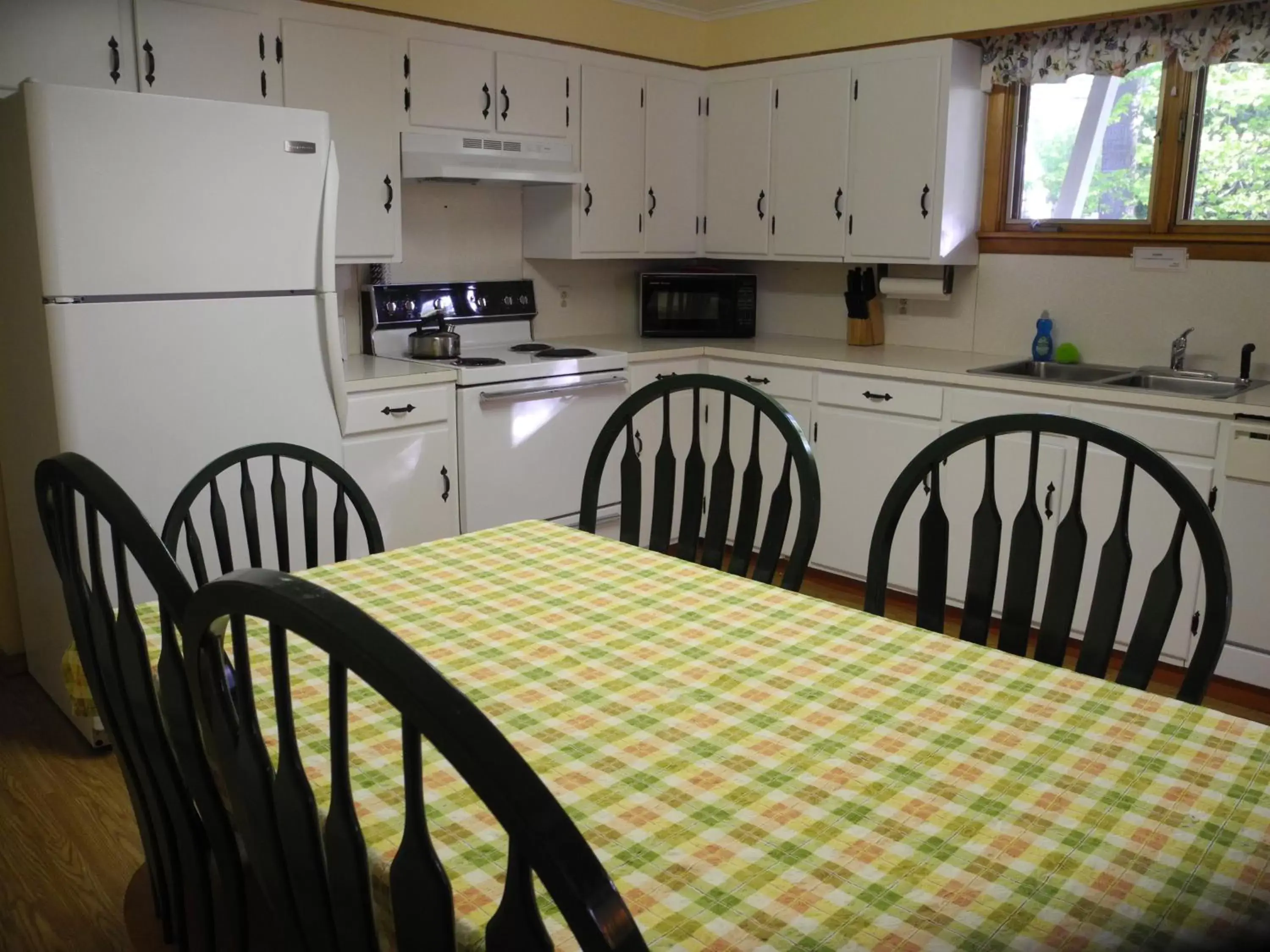 Living room, Kitchen/Kitchenette in Wilson Lake Inn