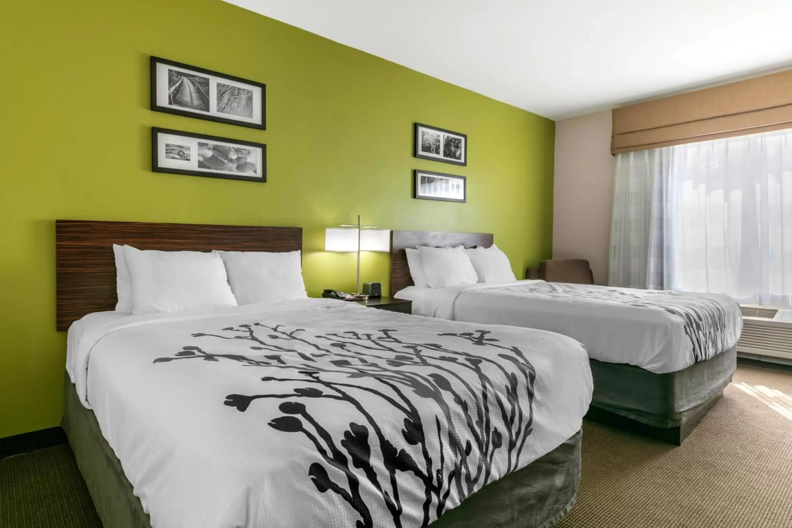 King Room with Two King Beds - Non-Smoking in Sleep Inn & Suites Columbia