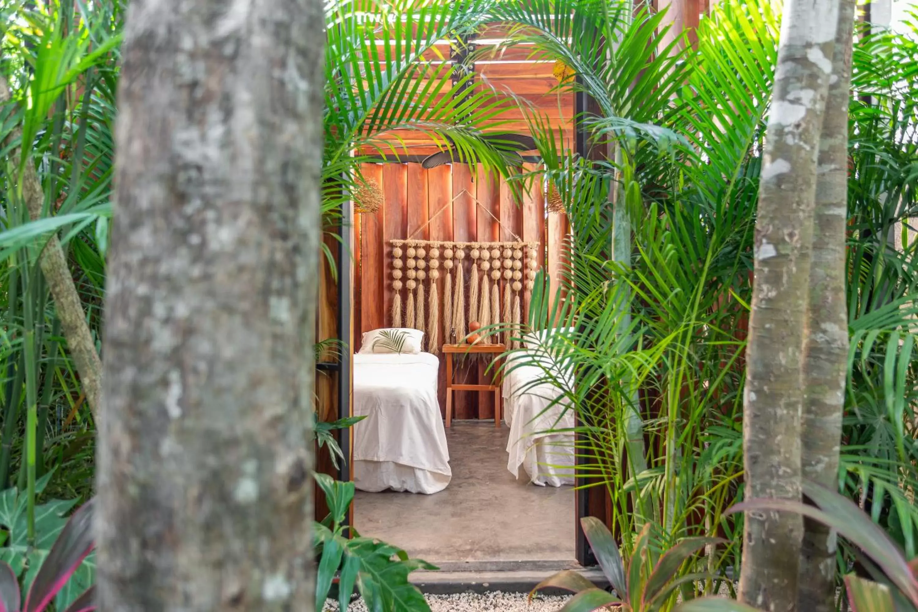 Natural landscape in Atman Residences Tulum Hotel