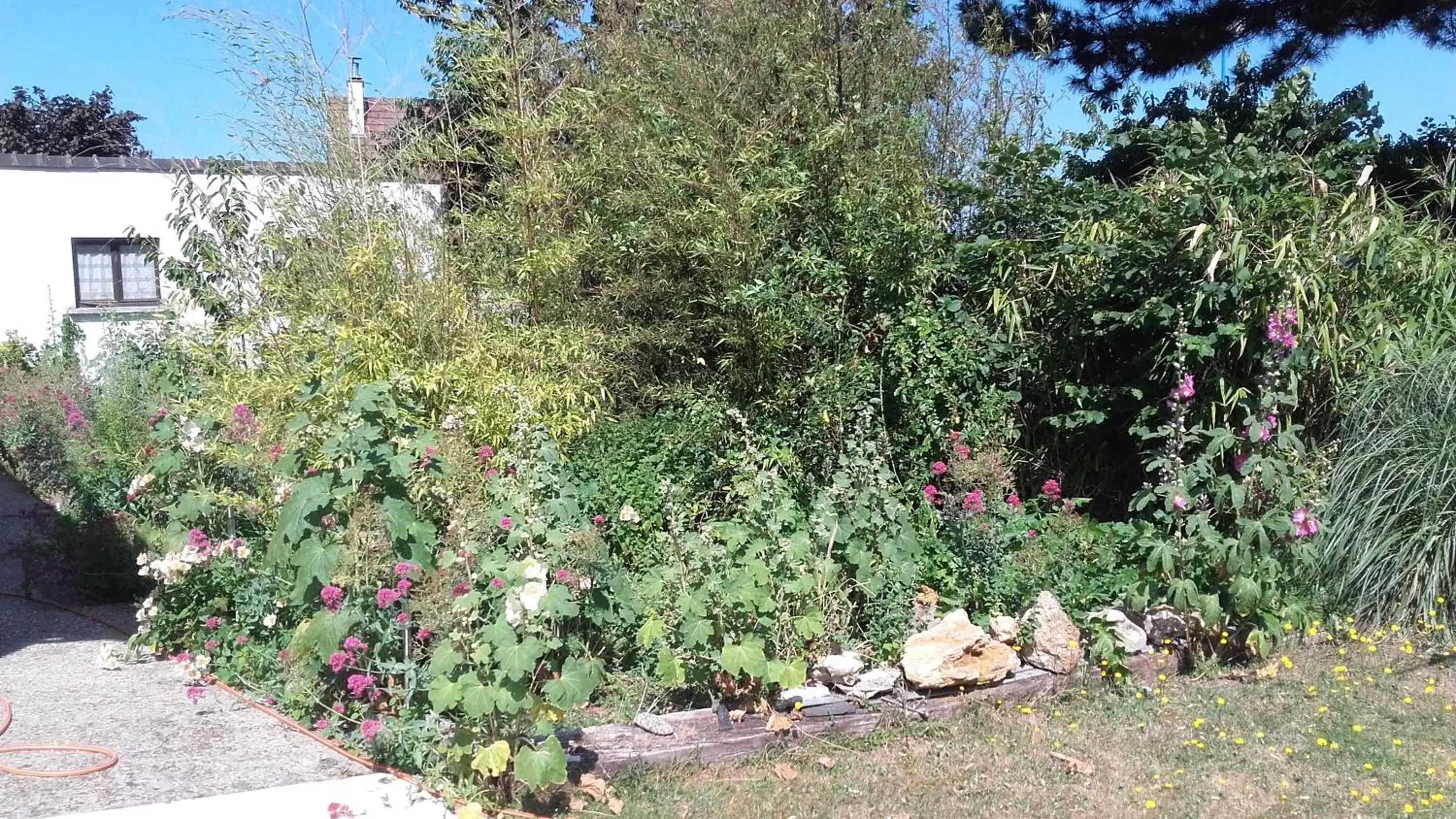 Garden in Chambres du Jardin Fleuri