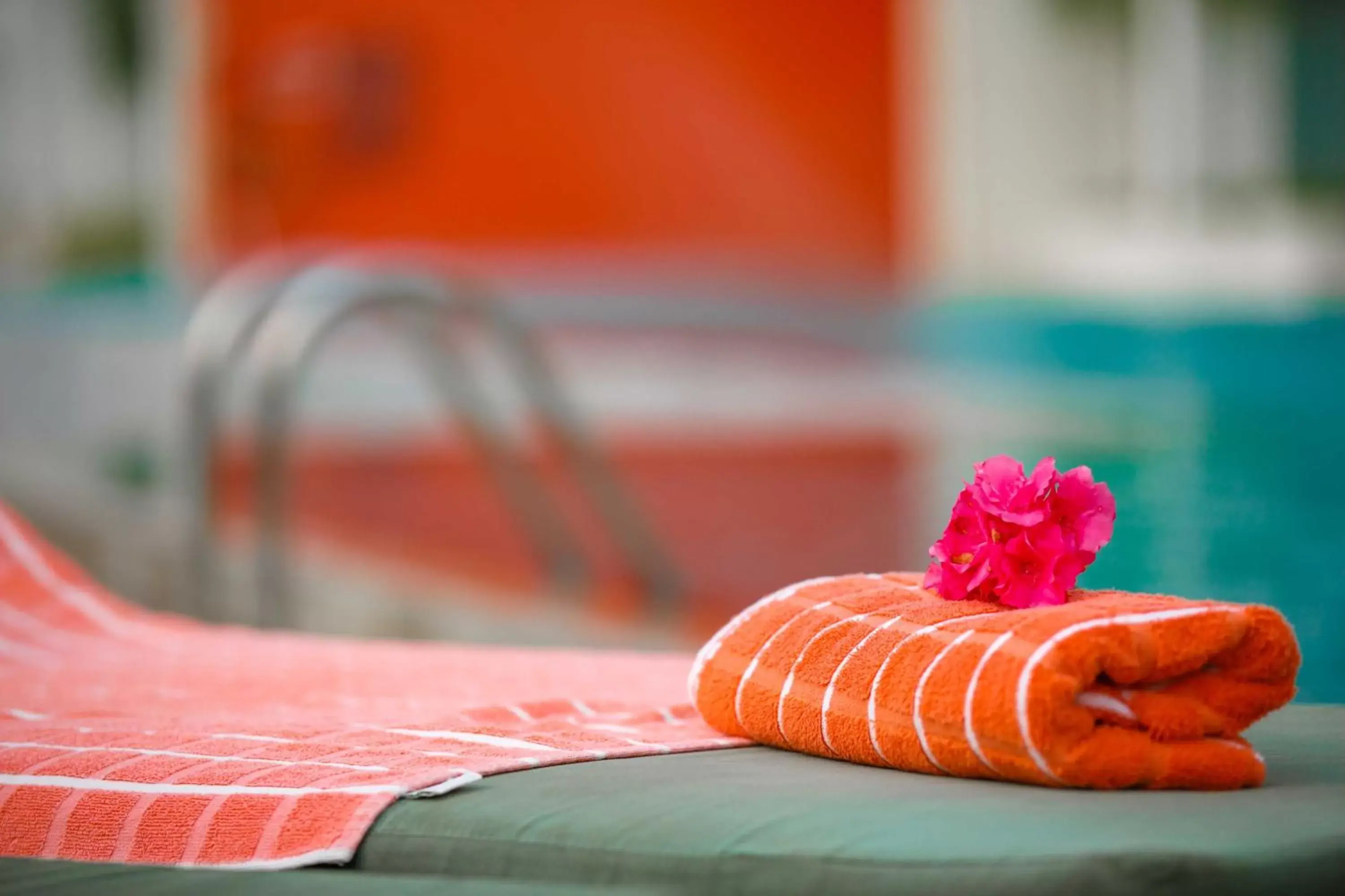 Decorative detail, Swimming Pool in Citrus Waskaduwa