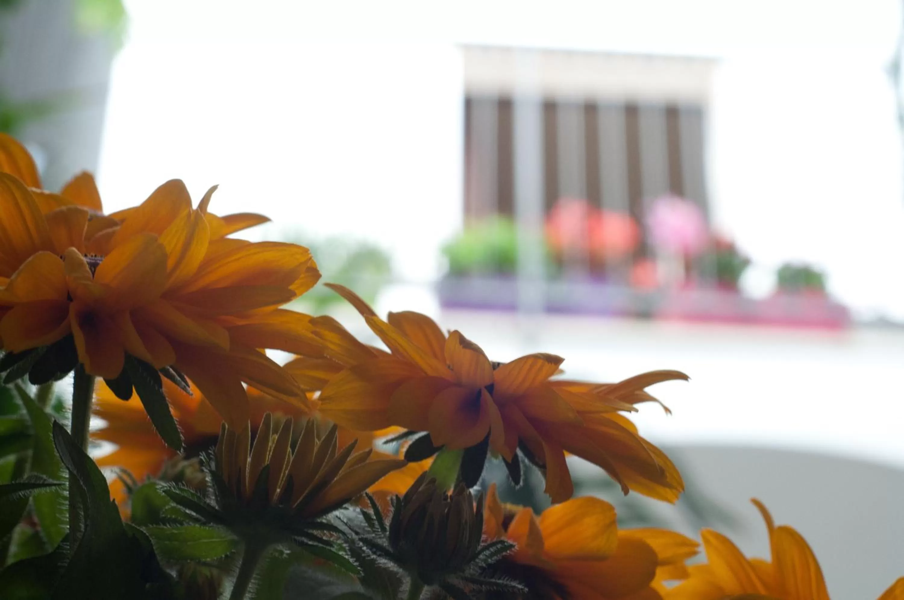 Facade/entrance in B&B Libertà Marsala