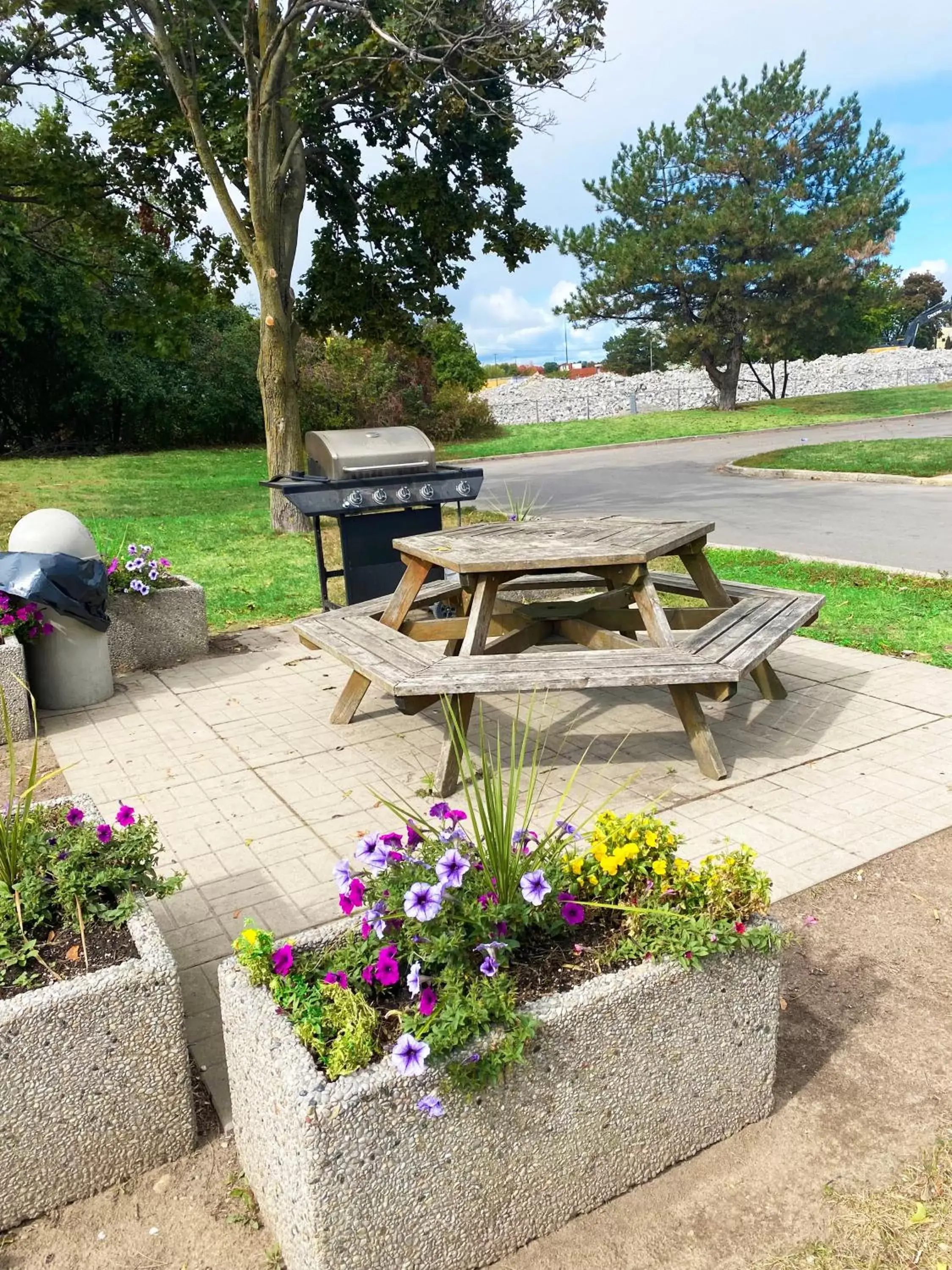 BBQ facilities, Garden in Comfort Inn Cambridge