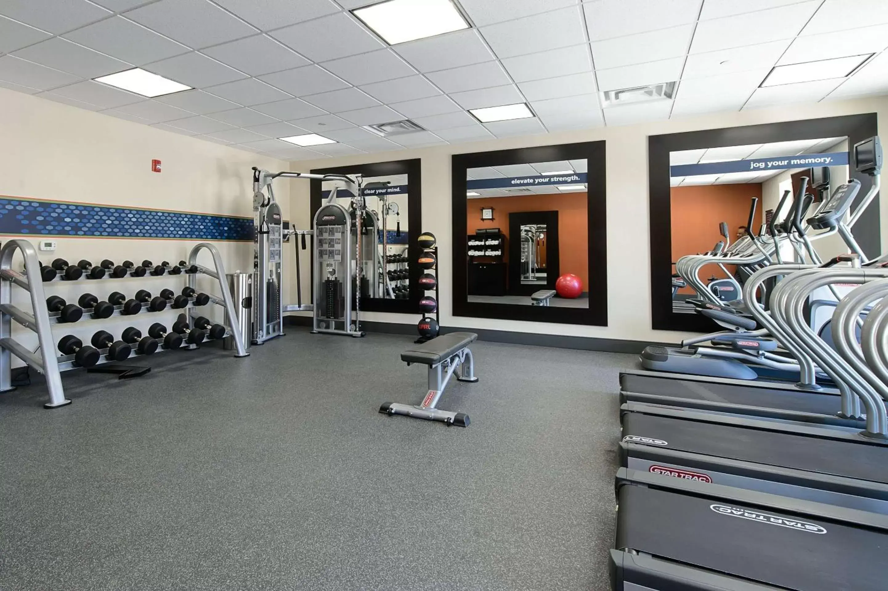 Fitness centre/facilities, Fitness Center/Facilities in Hampton Inn Stafford / Quantico-Aquia