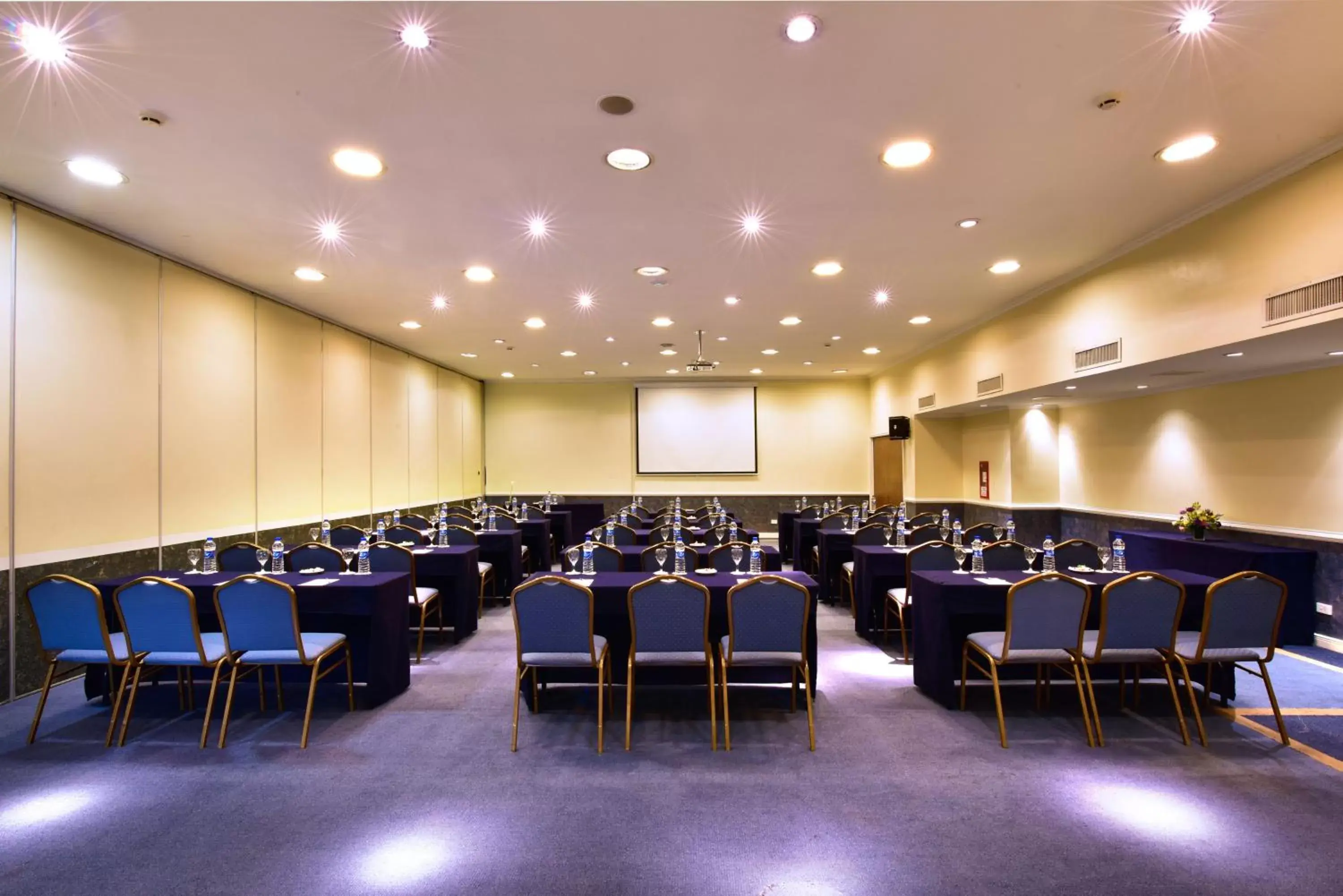 Meeting/conference room in Pestana Buenos Aires