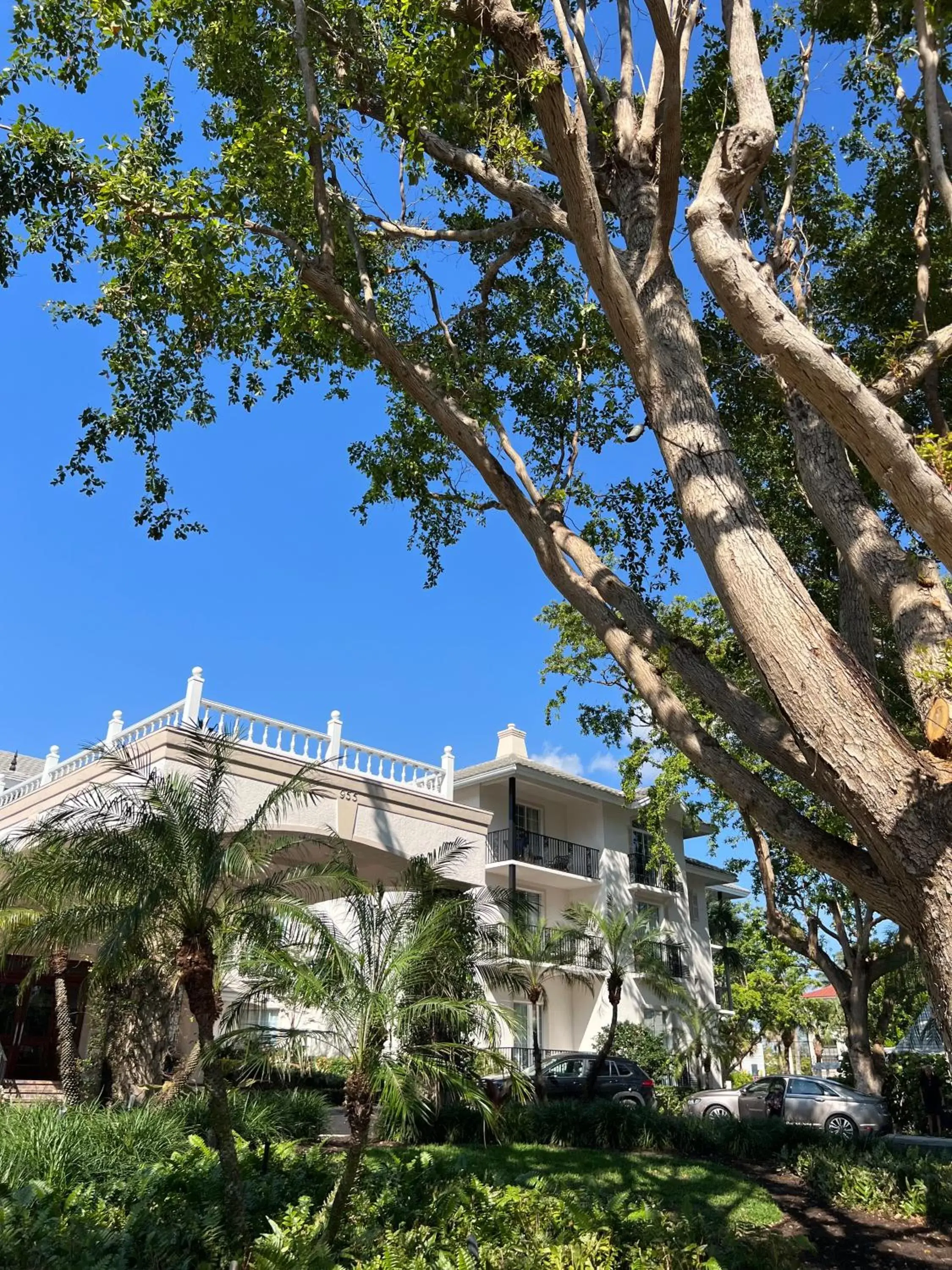 Property building in The Capri Inn Property building in The Capri Inn