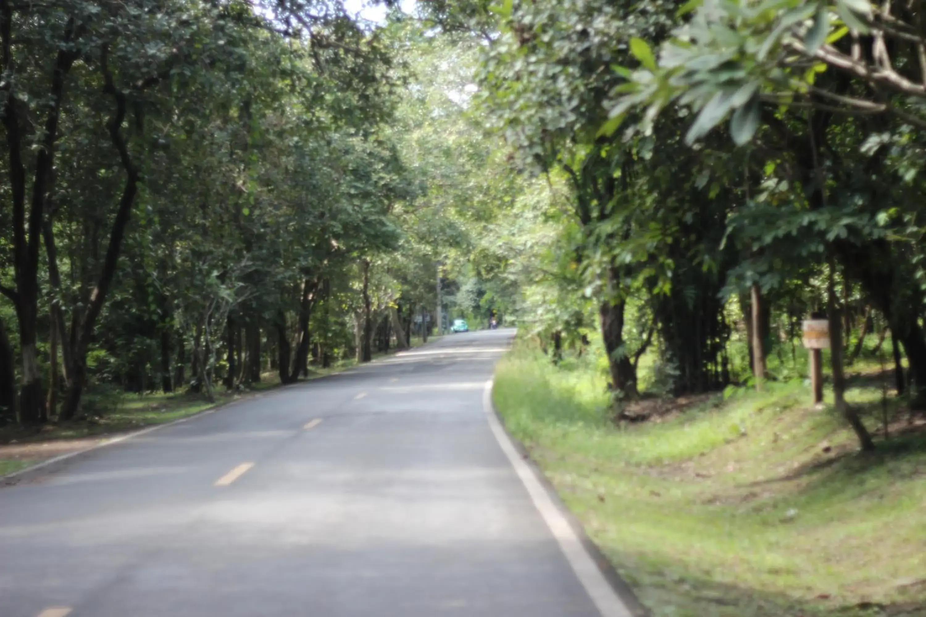 Natural landscape in Foresta Villa