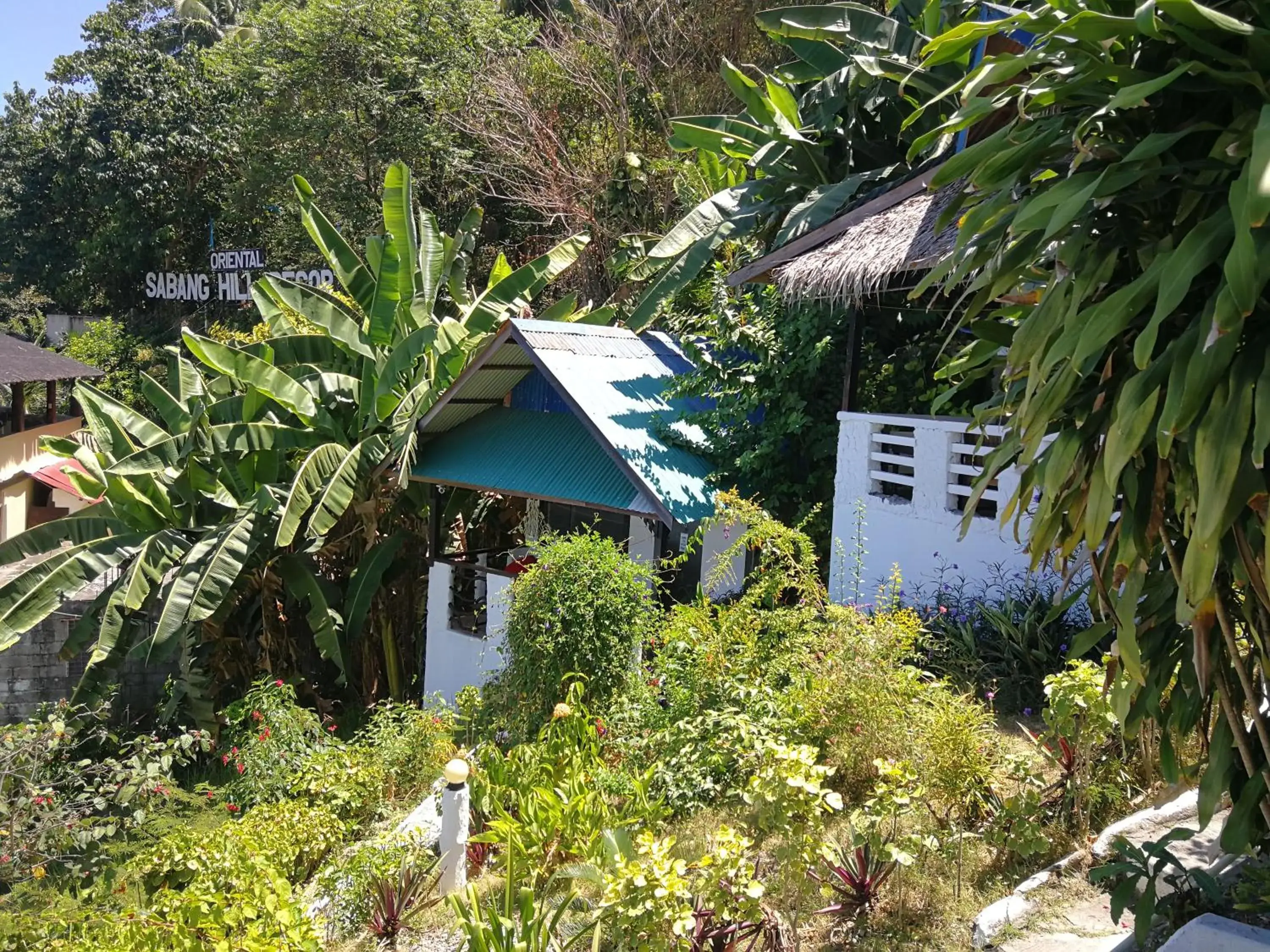 Garden view, Property Building in Bellevue Resort