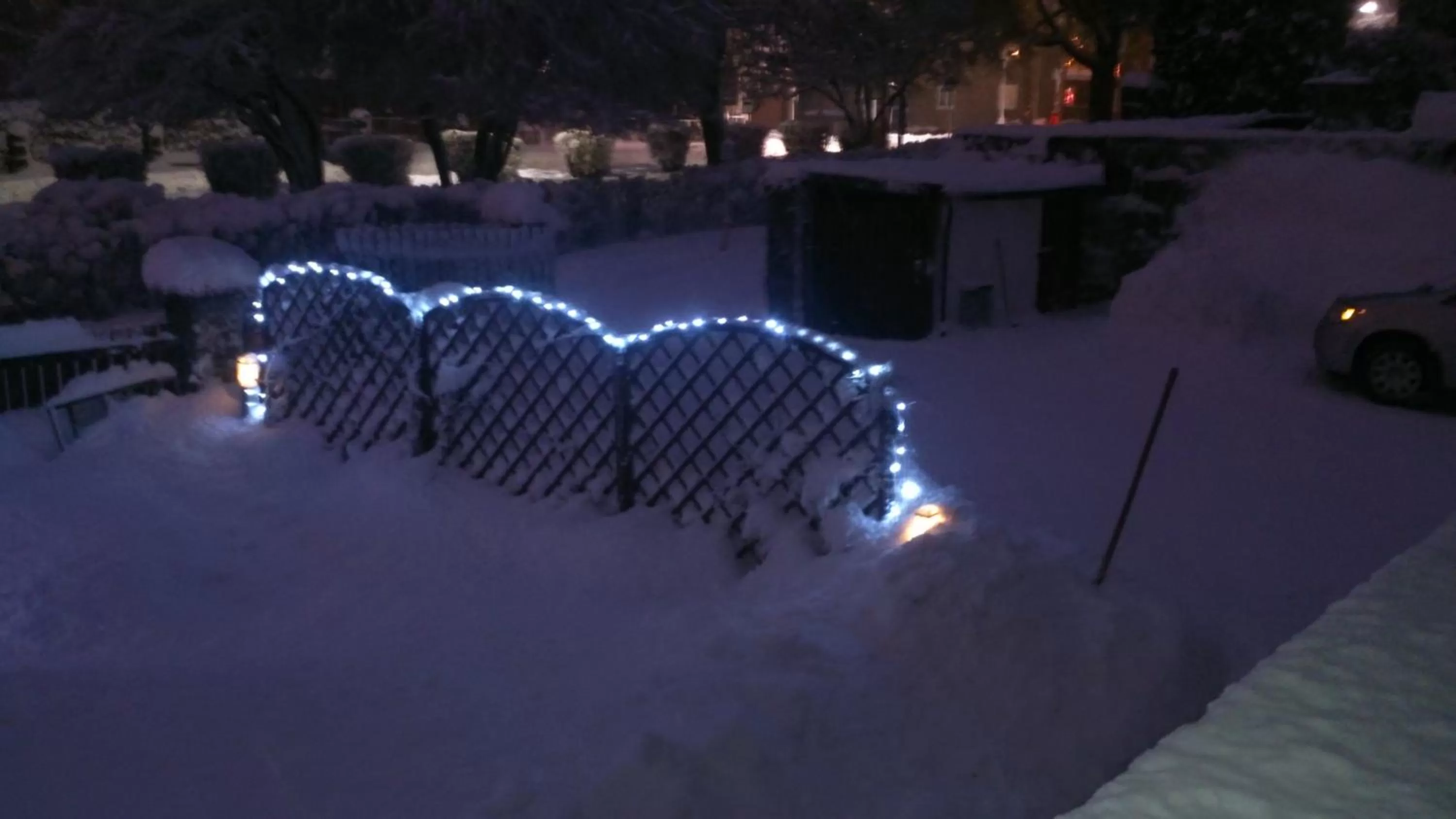 Garden in Hotel Alfa