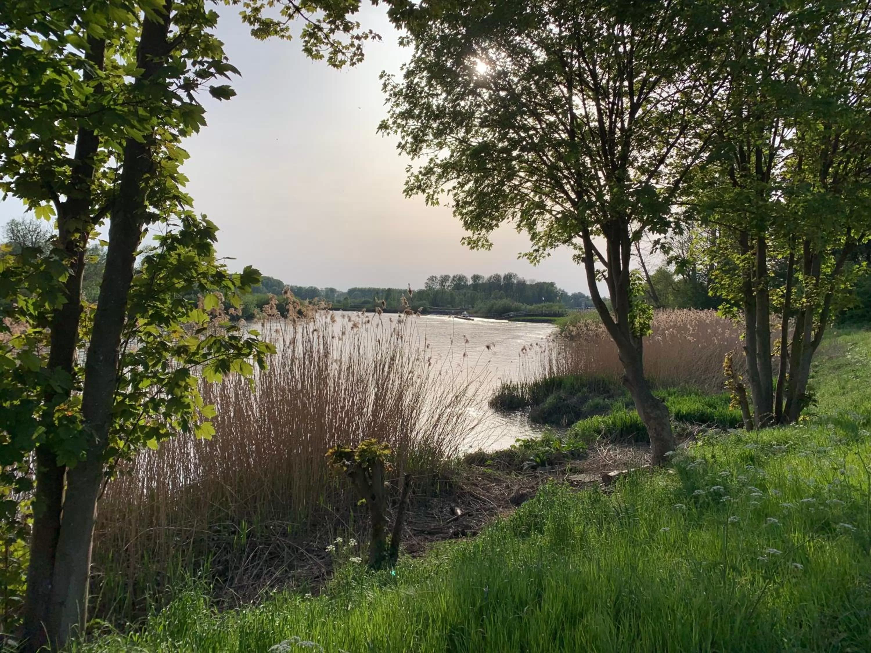 Natural landscape in De Koolputten