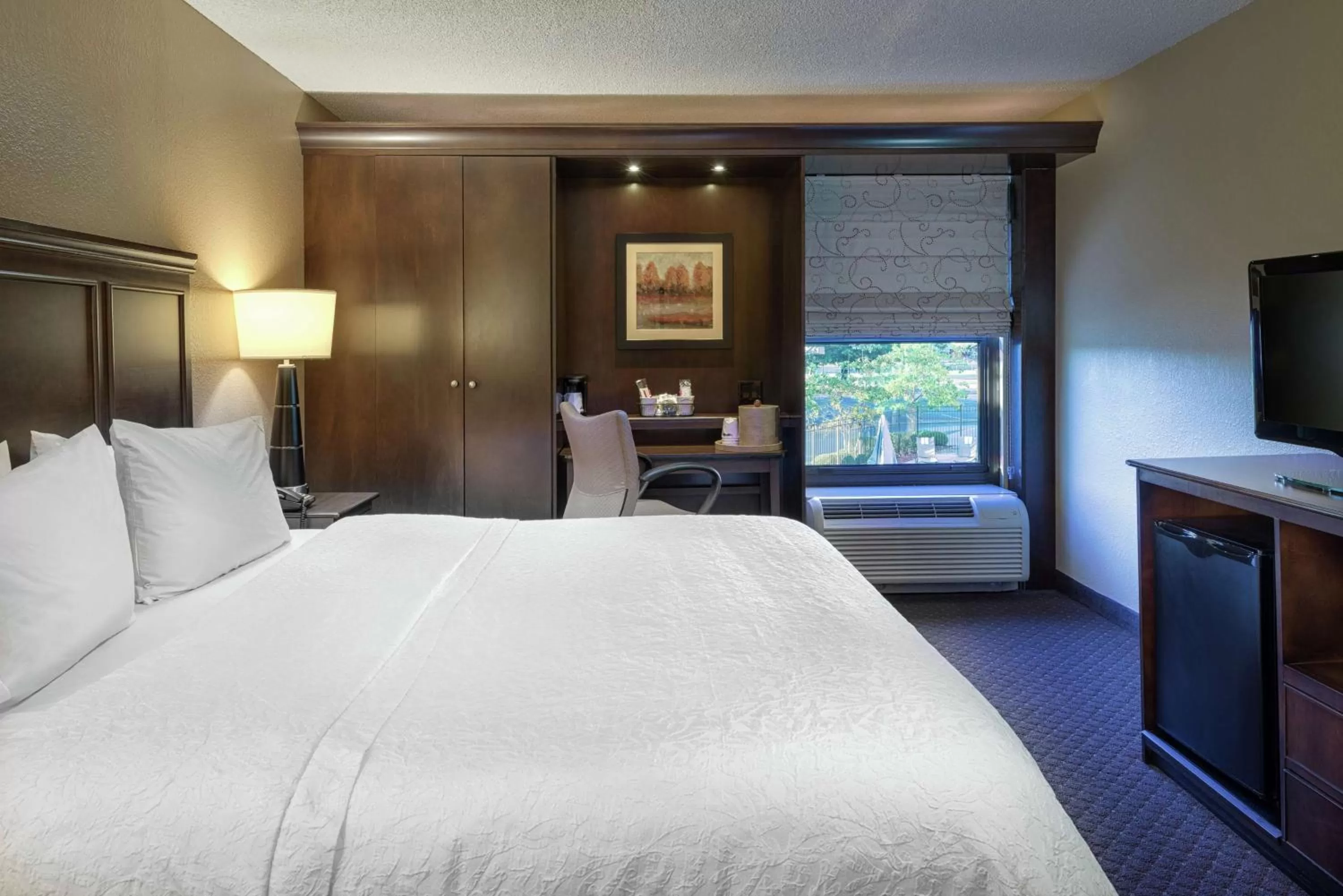 Queen Room with Roll In Shower - Disability Access in Hampton Inn Tuscaloosa-University