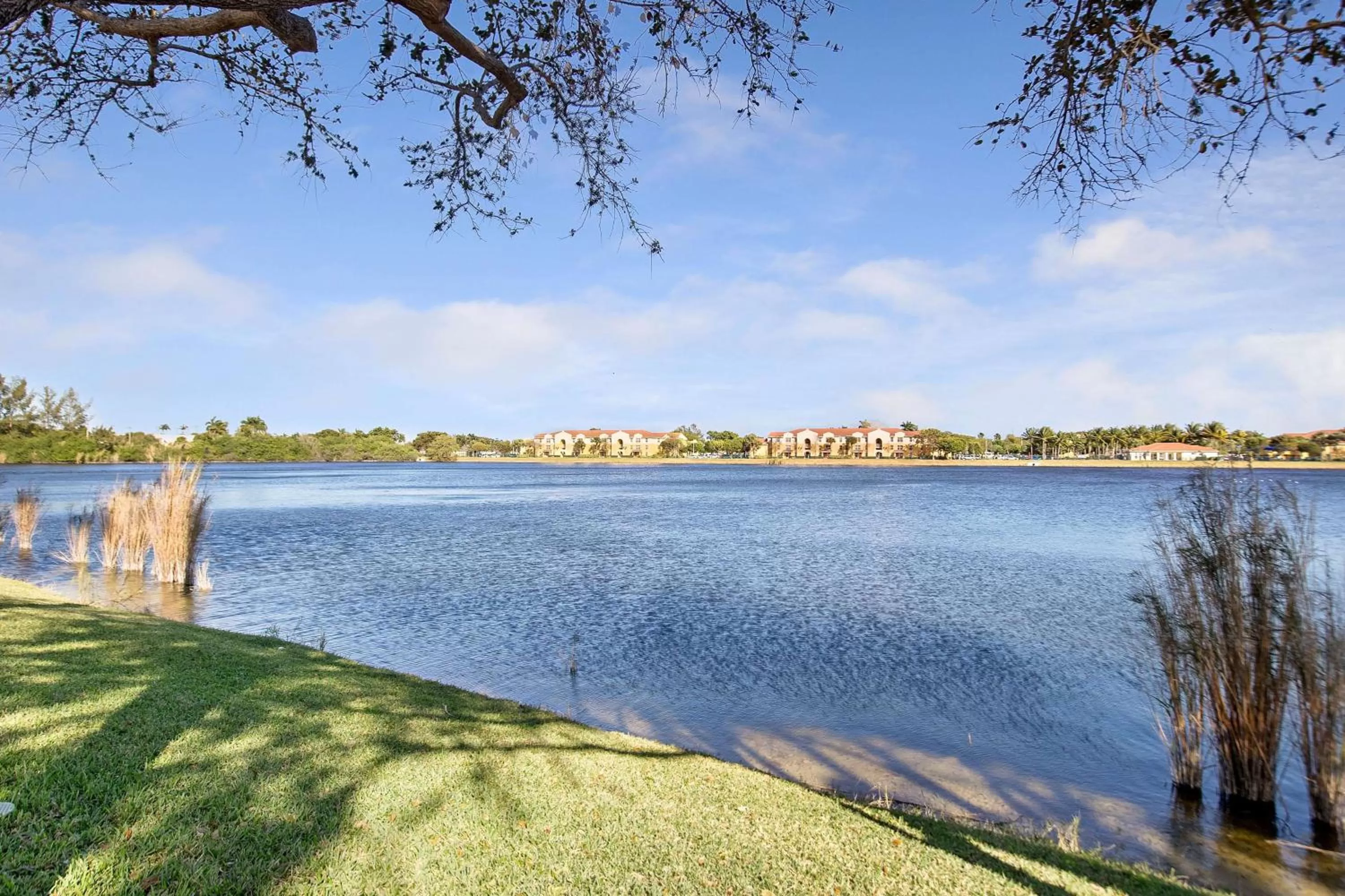 View (from property/room) in La Quinta by Wyndham Ft. Lauderdale Airport