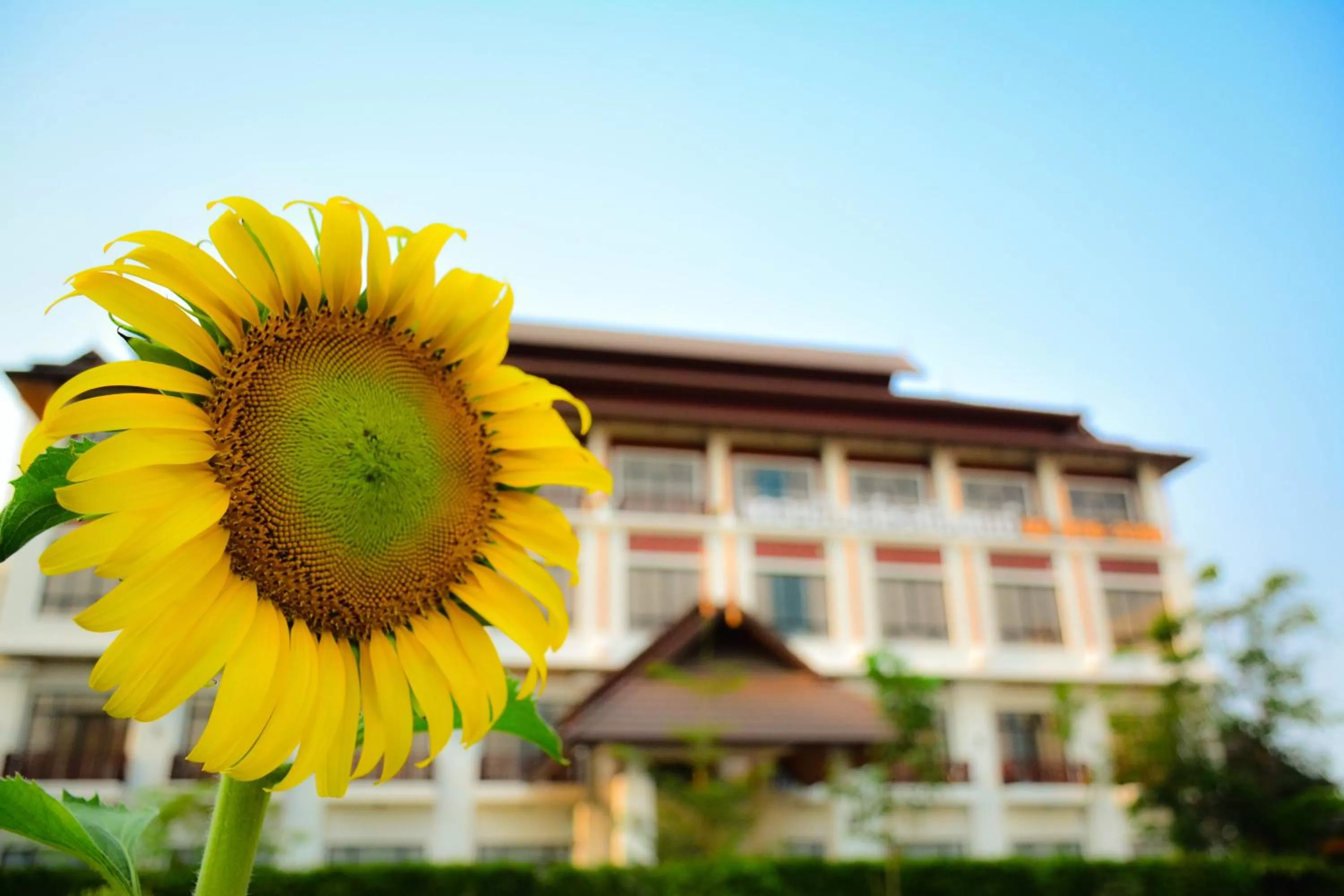 Property building in The Choice Hotel - Adults Only