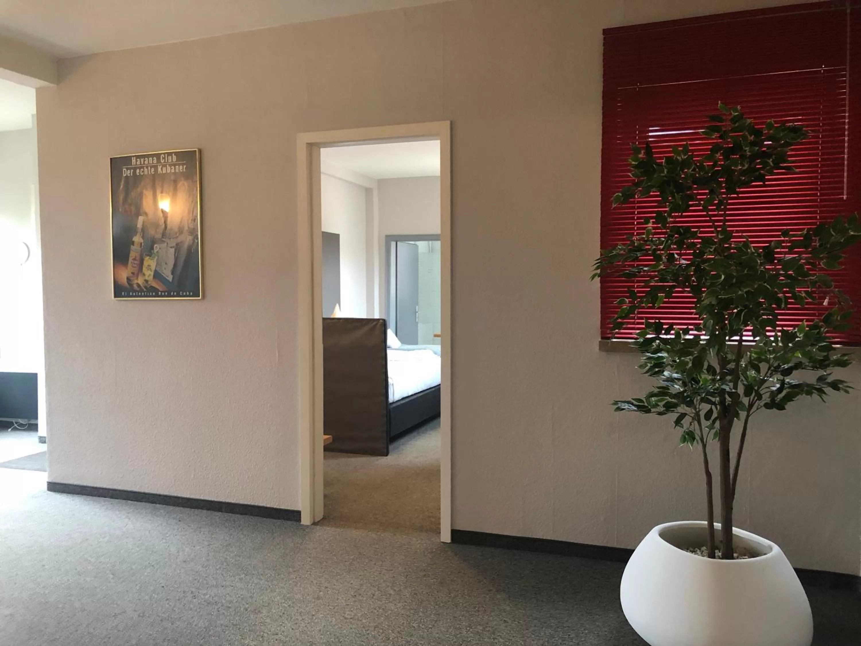 Hotel Zum Kastanienbaum