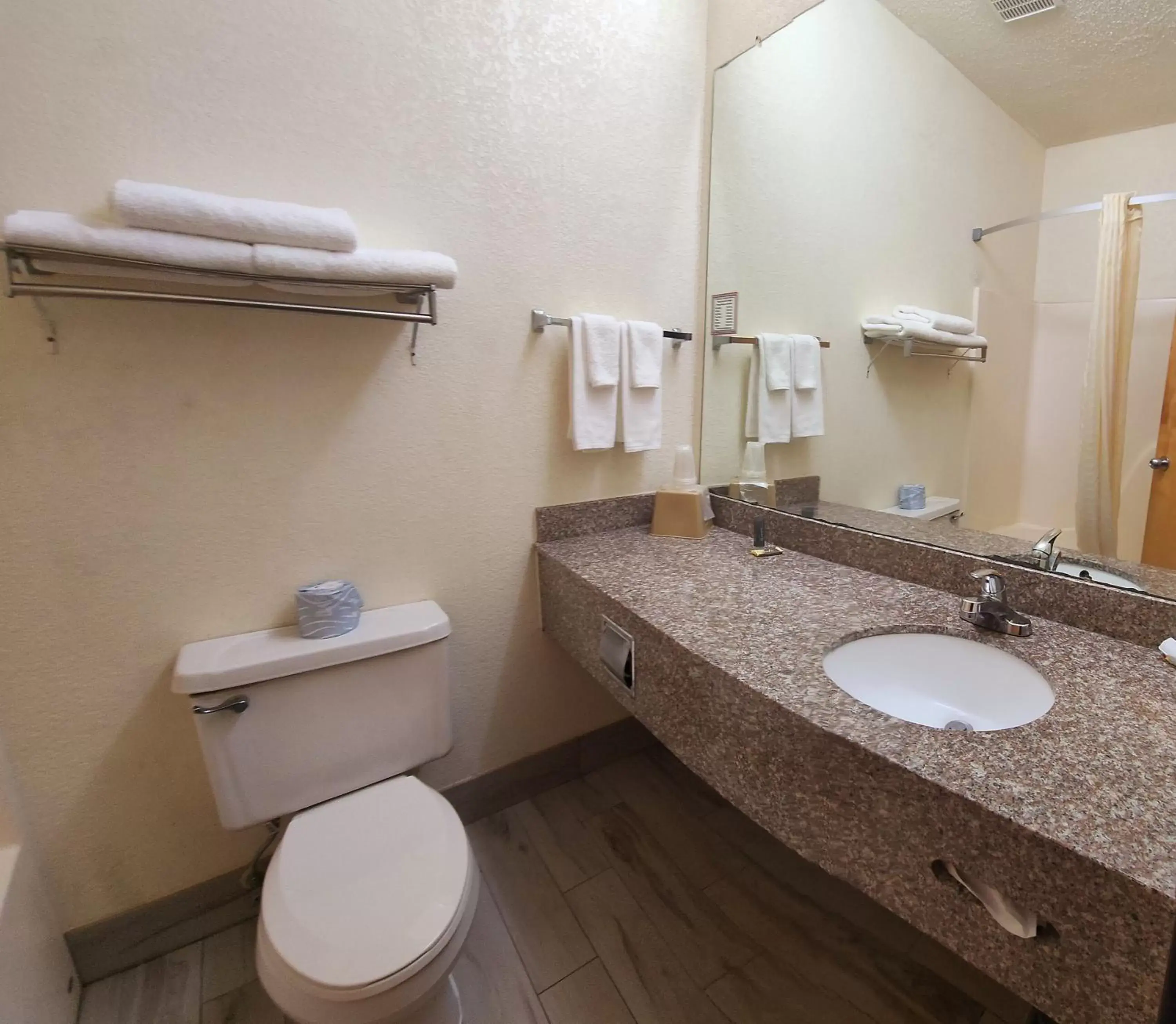 Bathroom in Americas Best Value Inn & Suites-Foley