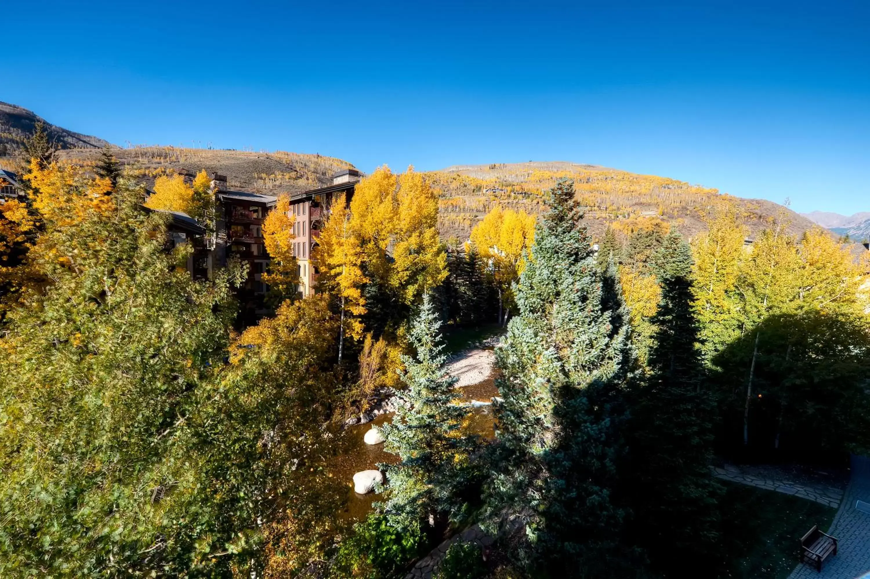 View (from property/room) in Sitzmark Lodge