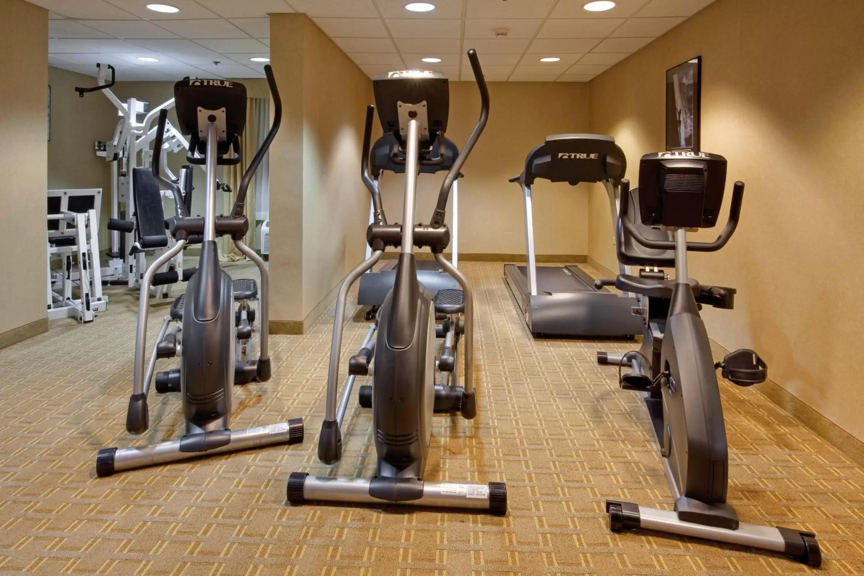 Fitness centre/facilities, Fitness Center/Facilities in Holiday Inn Express Wilkes Barre East, an IHG Hotel