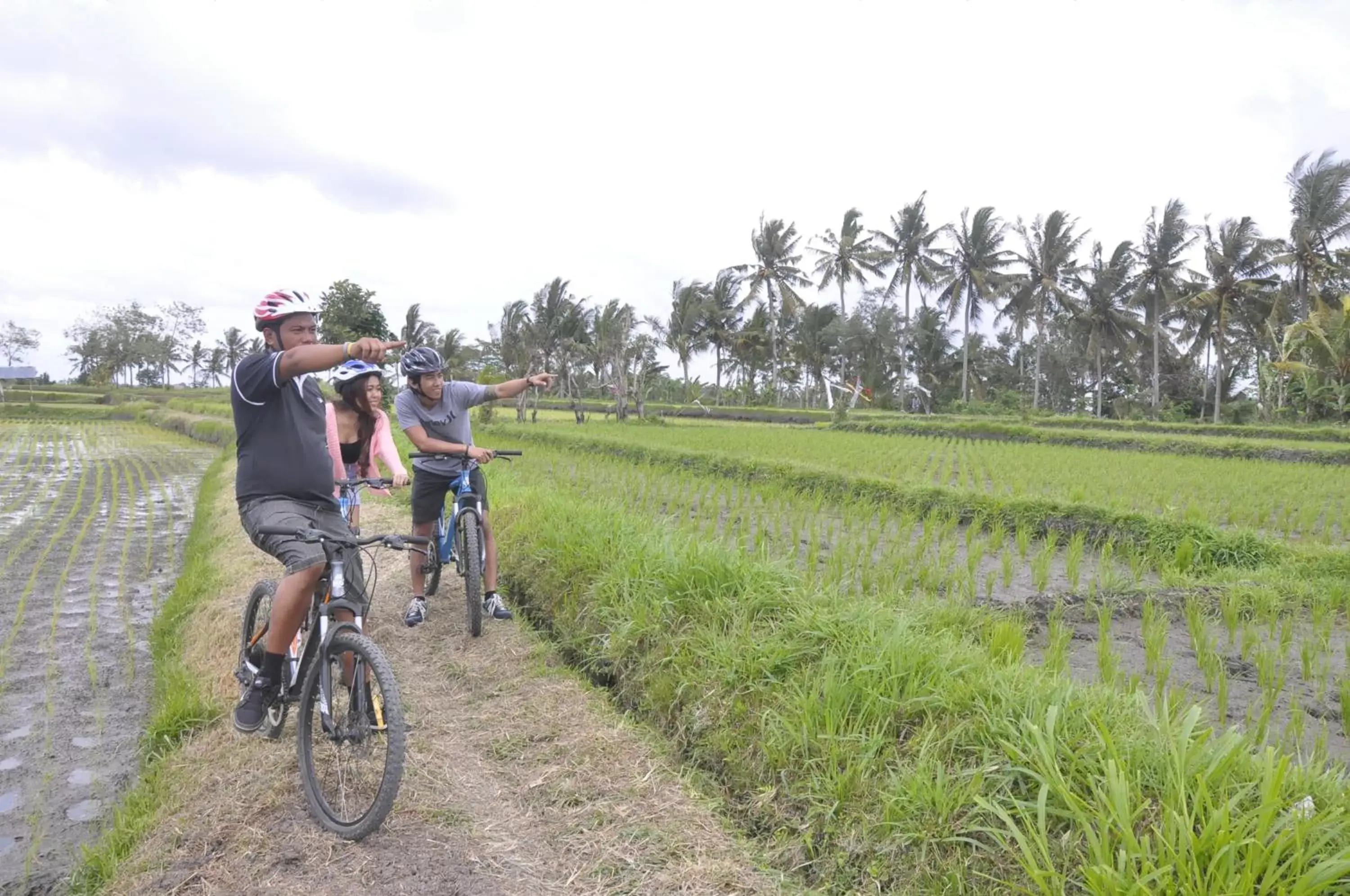 Activities, Horseback Riding in Puri Taman Sari