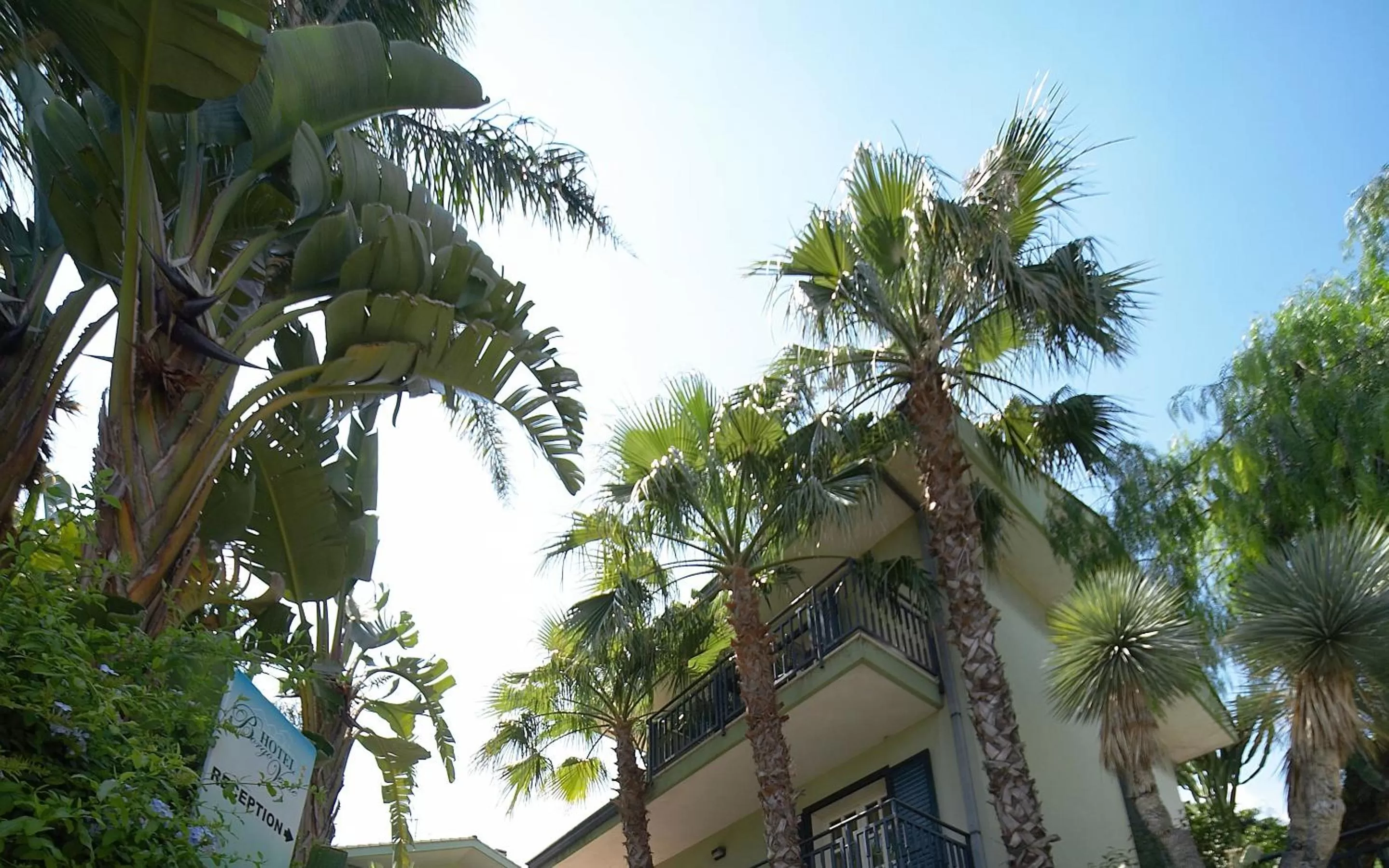 Garden in Hotel Borgo Verde