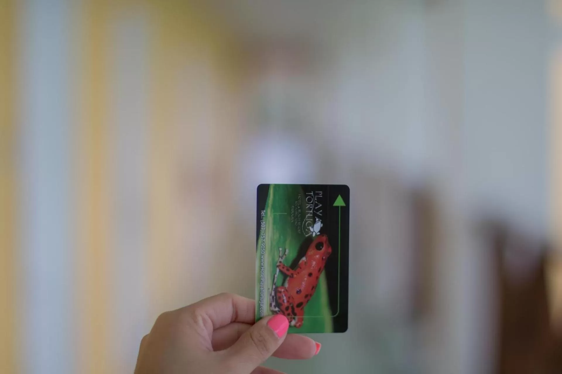 TV/Entertainment Center in Playa Tortuga Hotel and Beach Resort