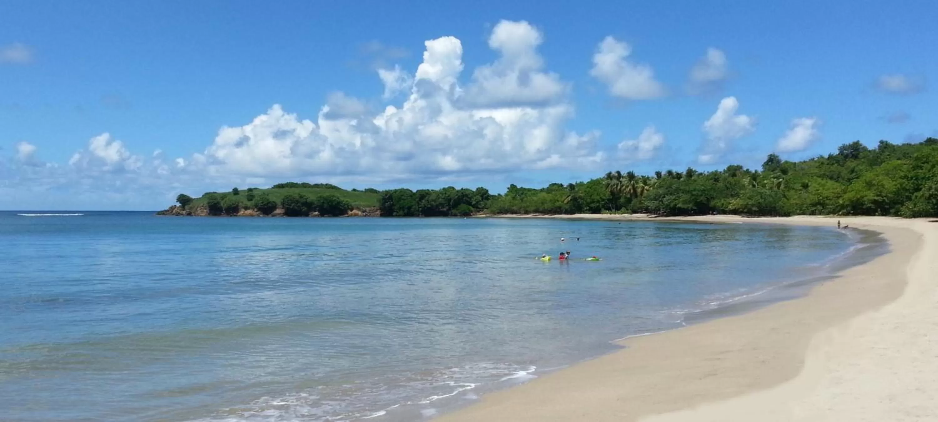 Other in French Coco