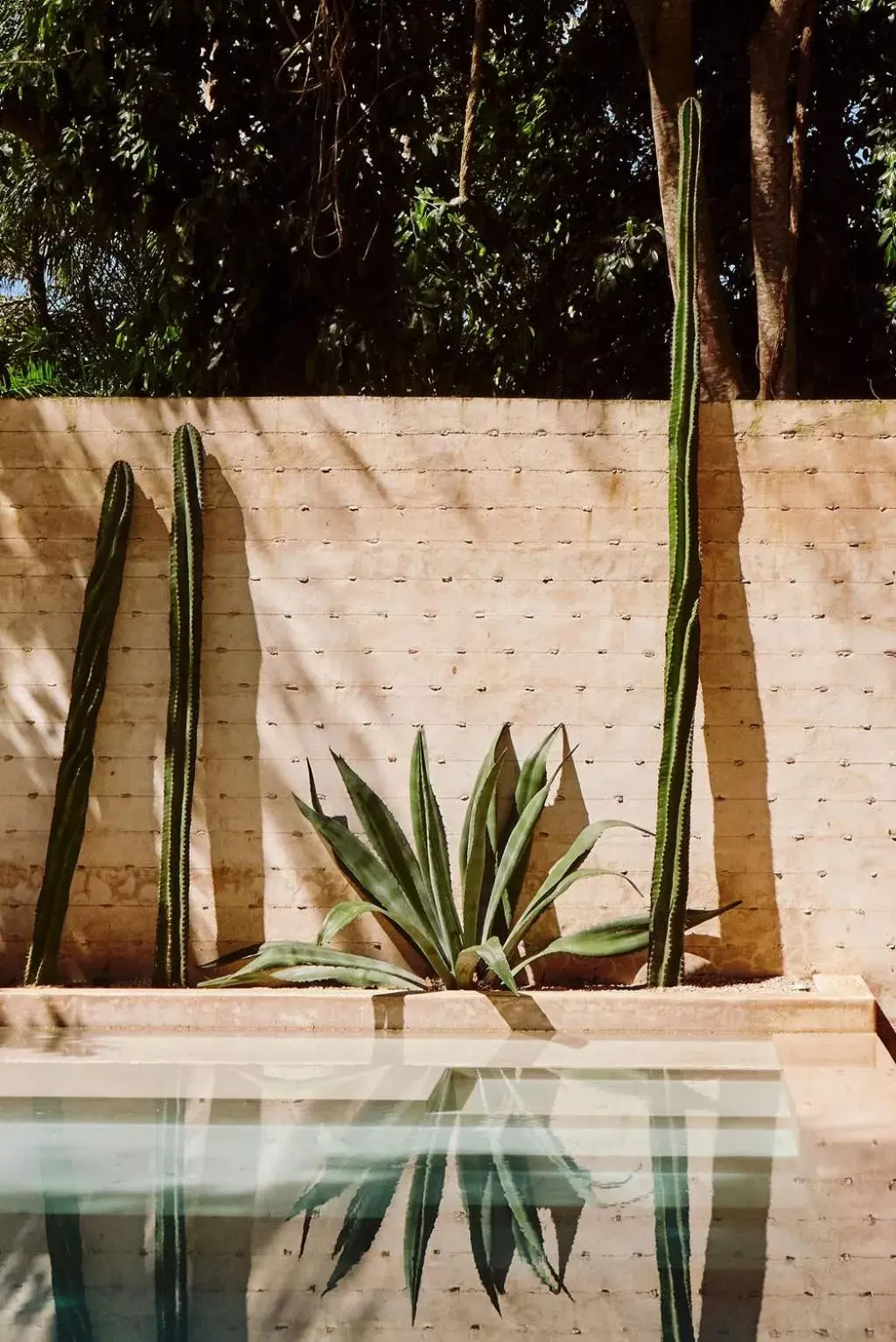 Garden in Casona los Cedros