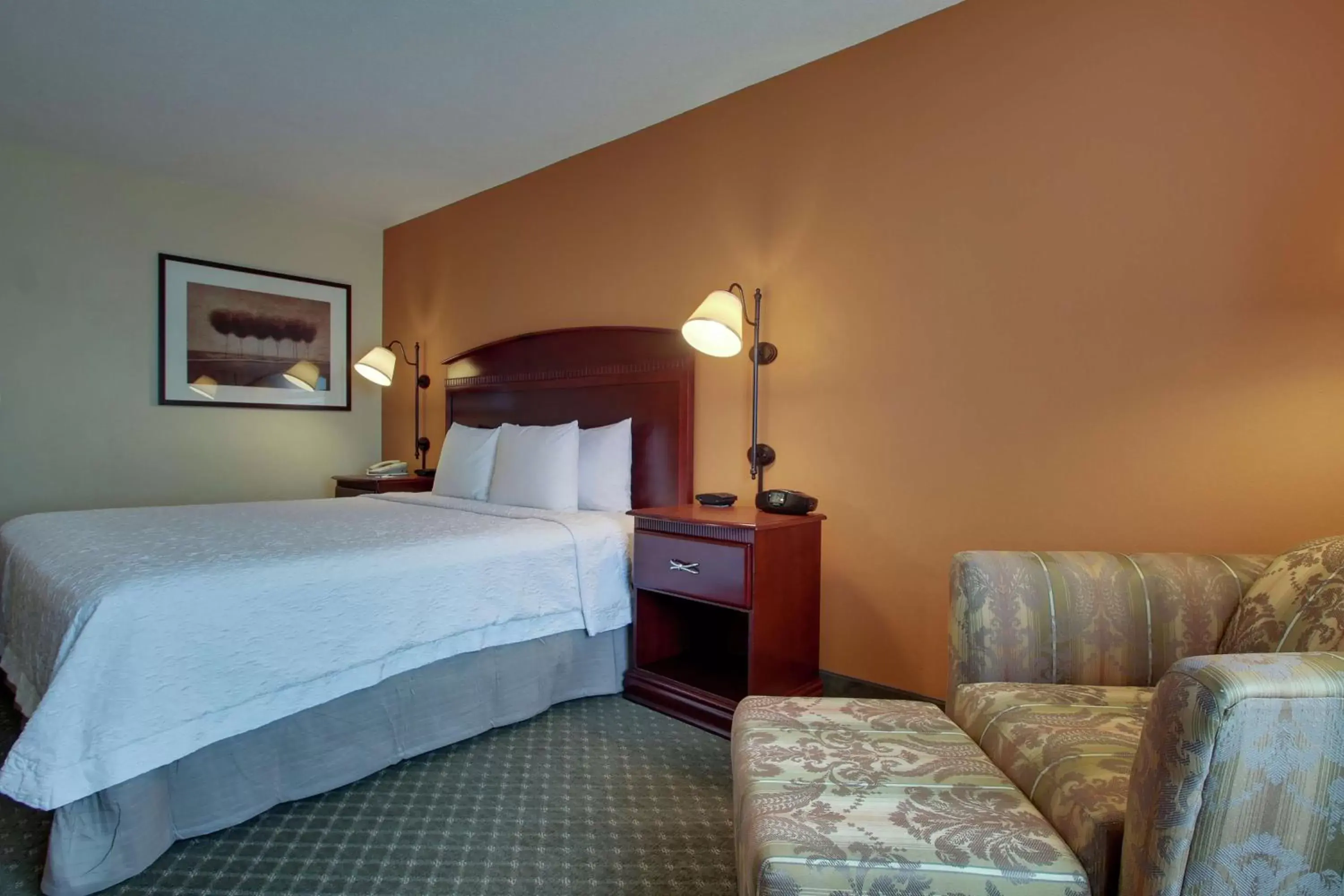 Living room, Bed in Hampton Inn & Suites Denver Littleton