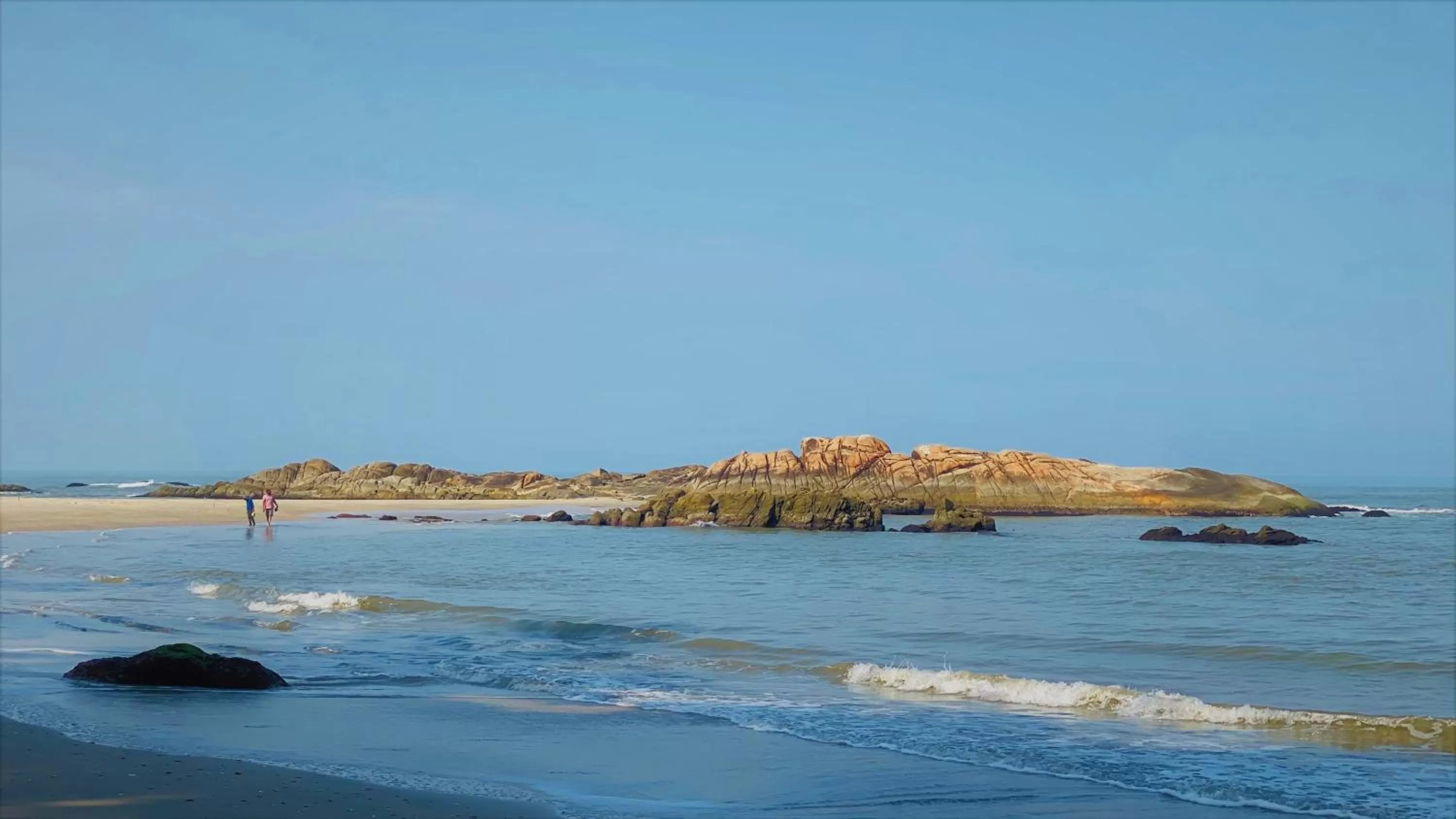 Pets, Beach in White Shell