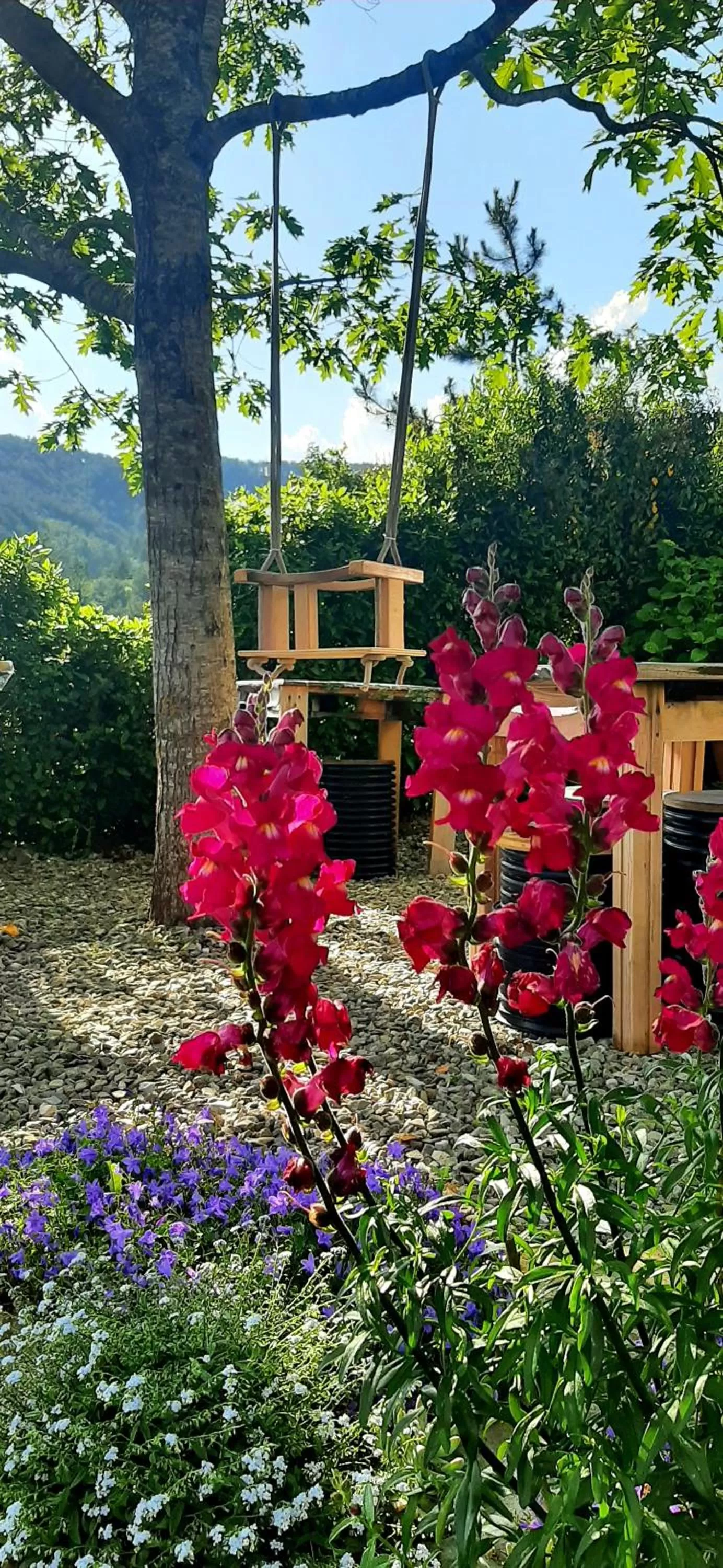 BBQ Facilities in B&B degli Allori