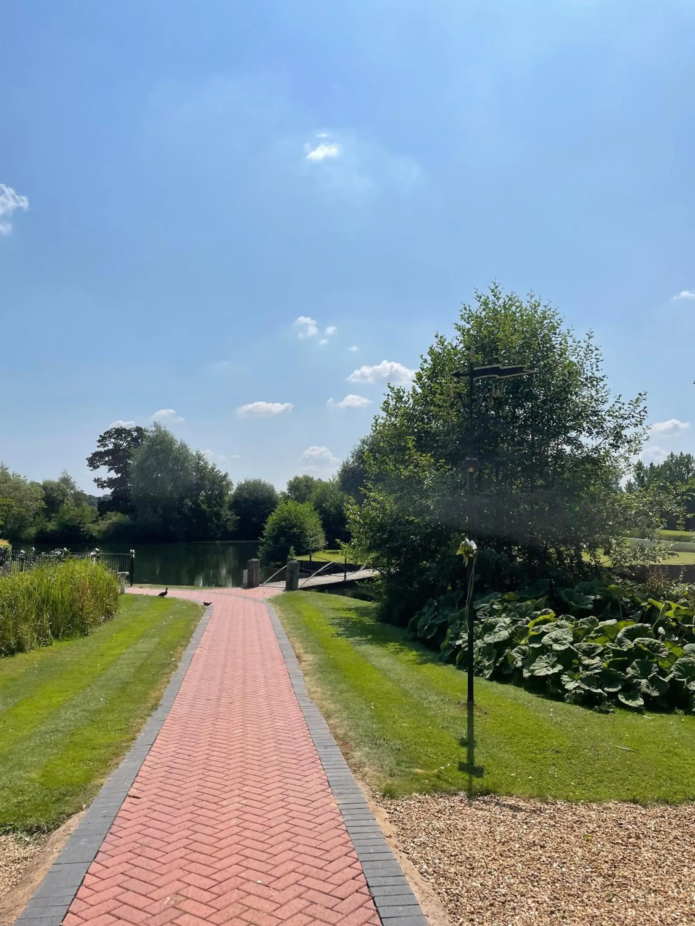 Garden view, Garden in Ardencote