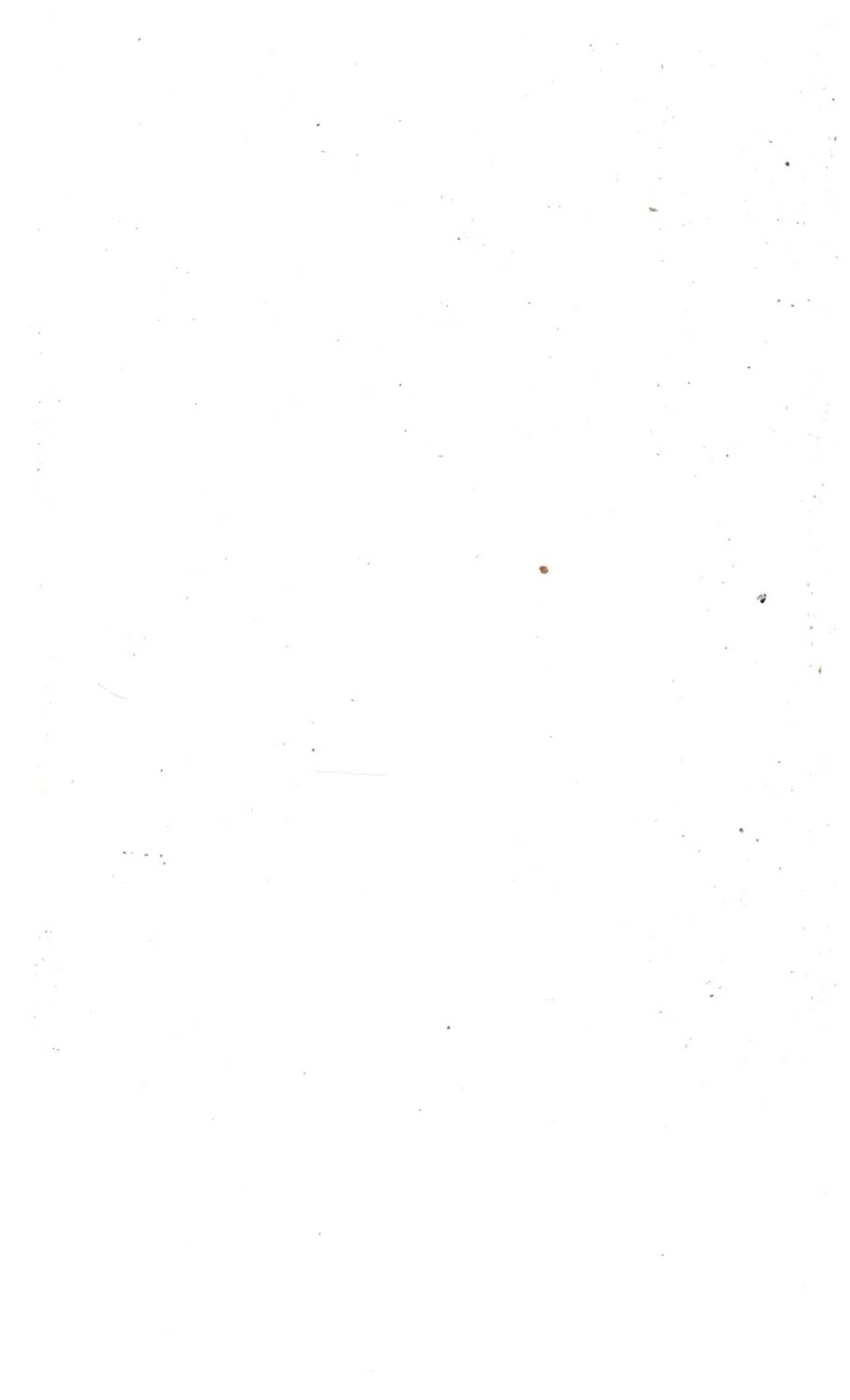 Bedroom in Motel 6-Percival, IA