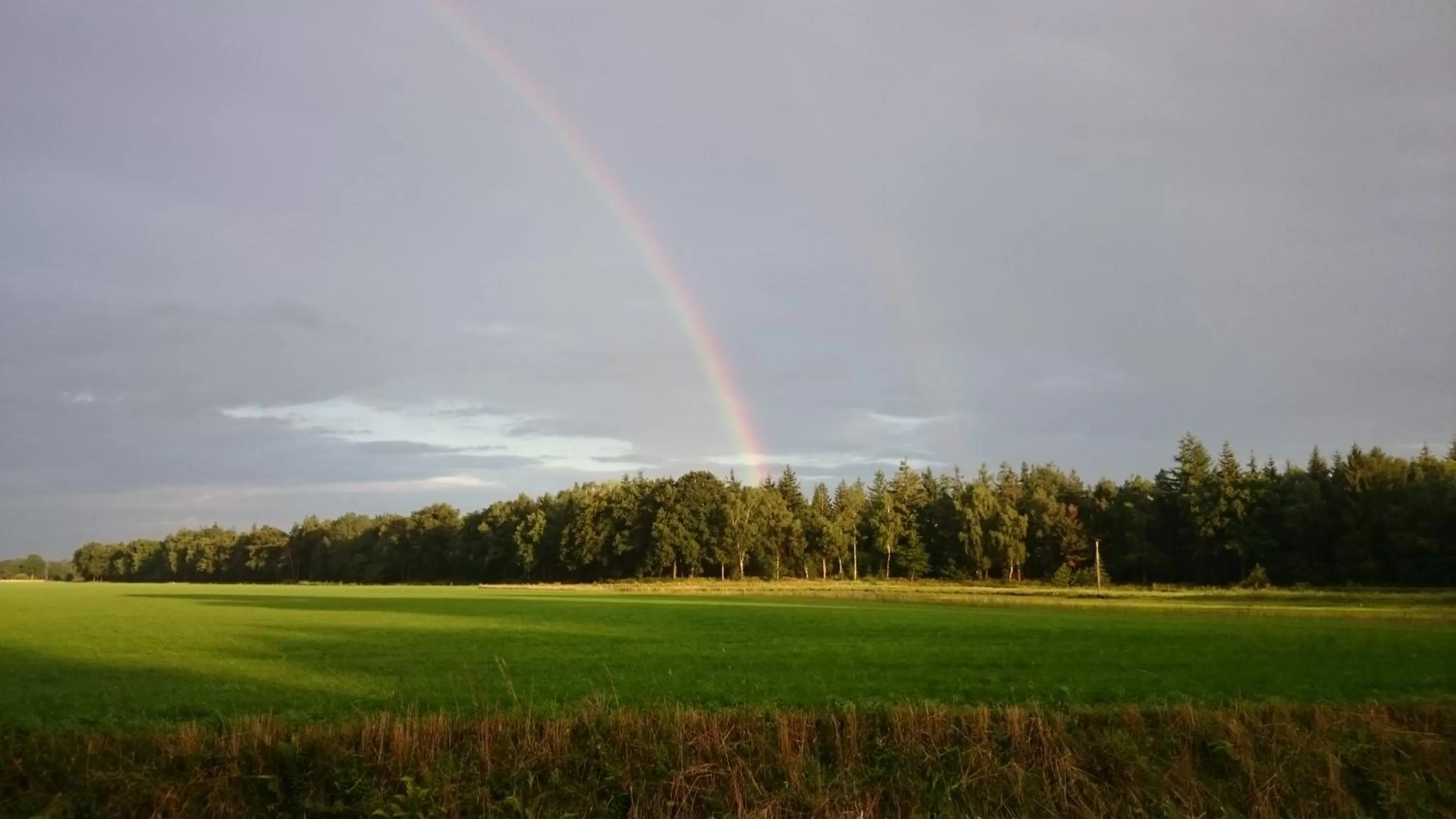 View (from property/room), Golf in B&B Verwoldsehof