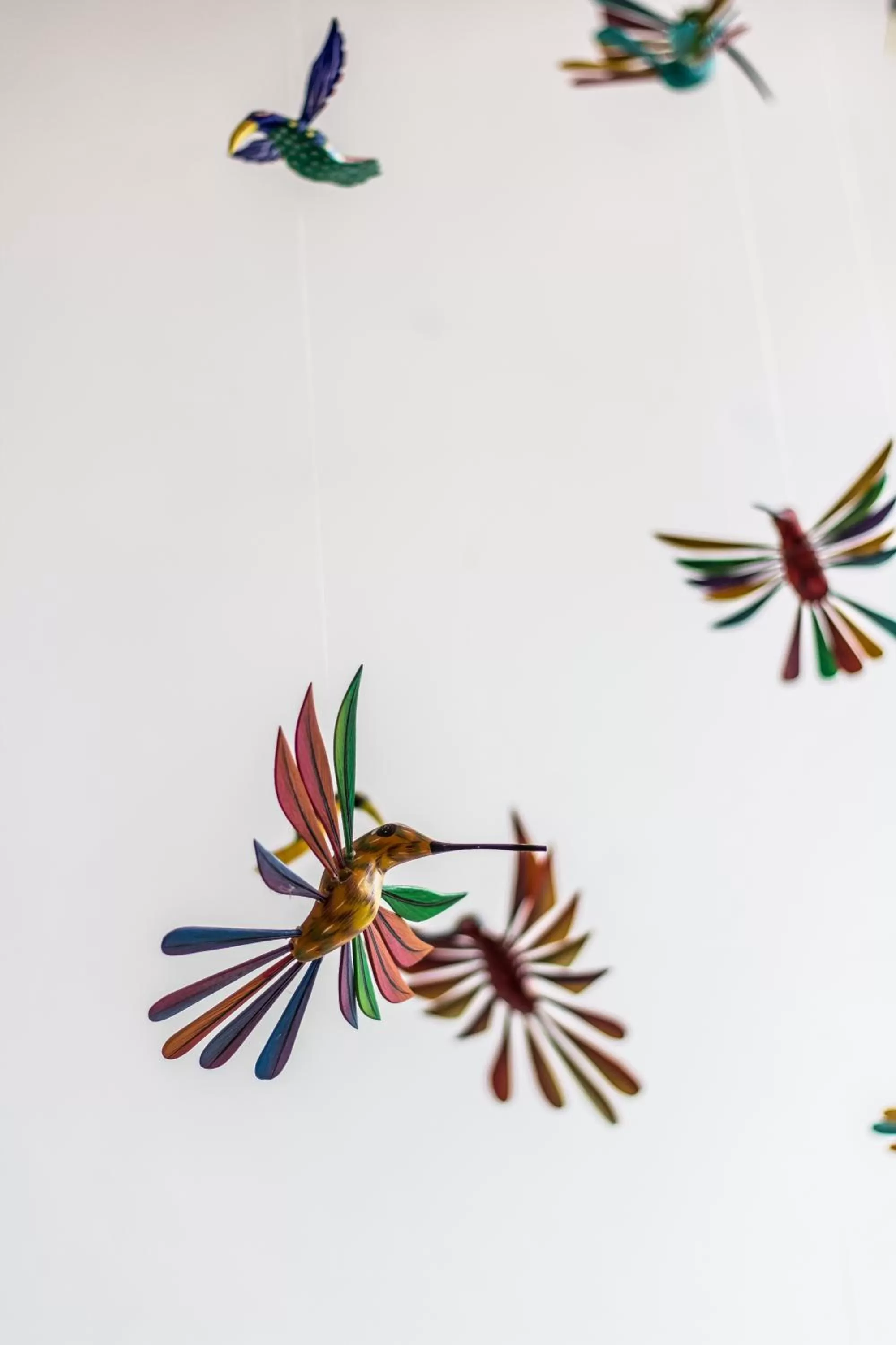 Decorative detail in Casa Jose Maria