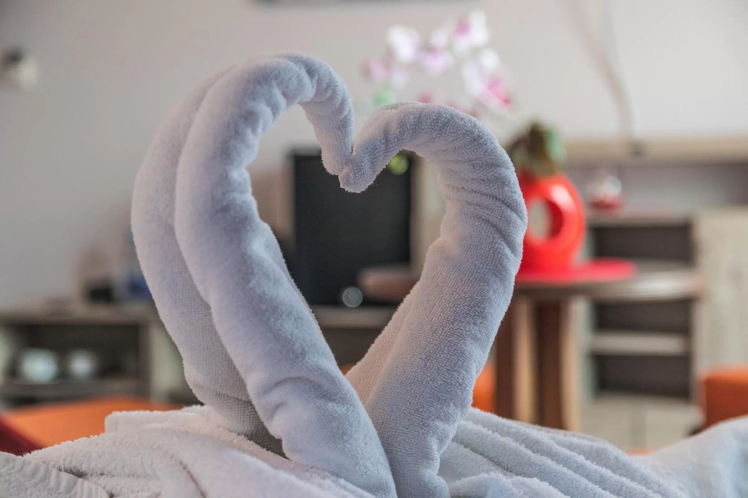 Bed in Resident Rene